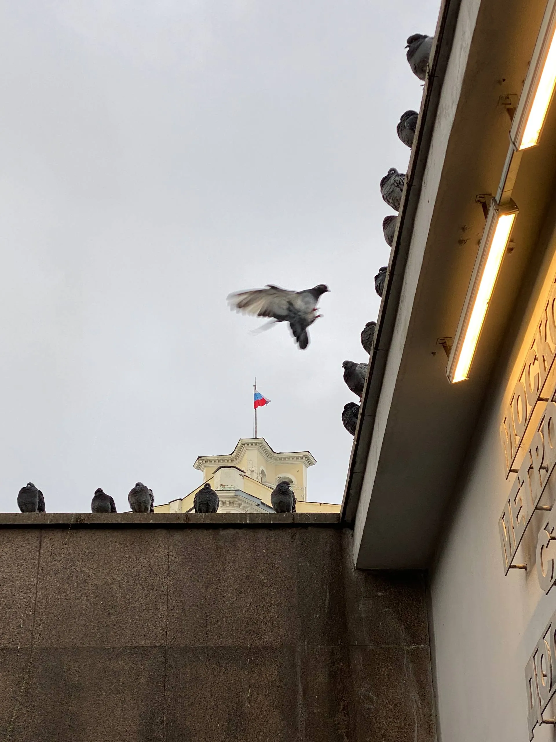 Прыжок веры