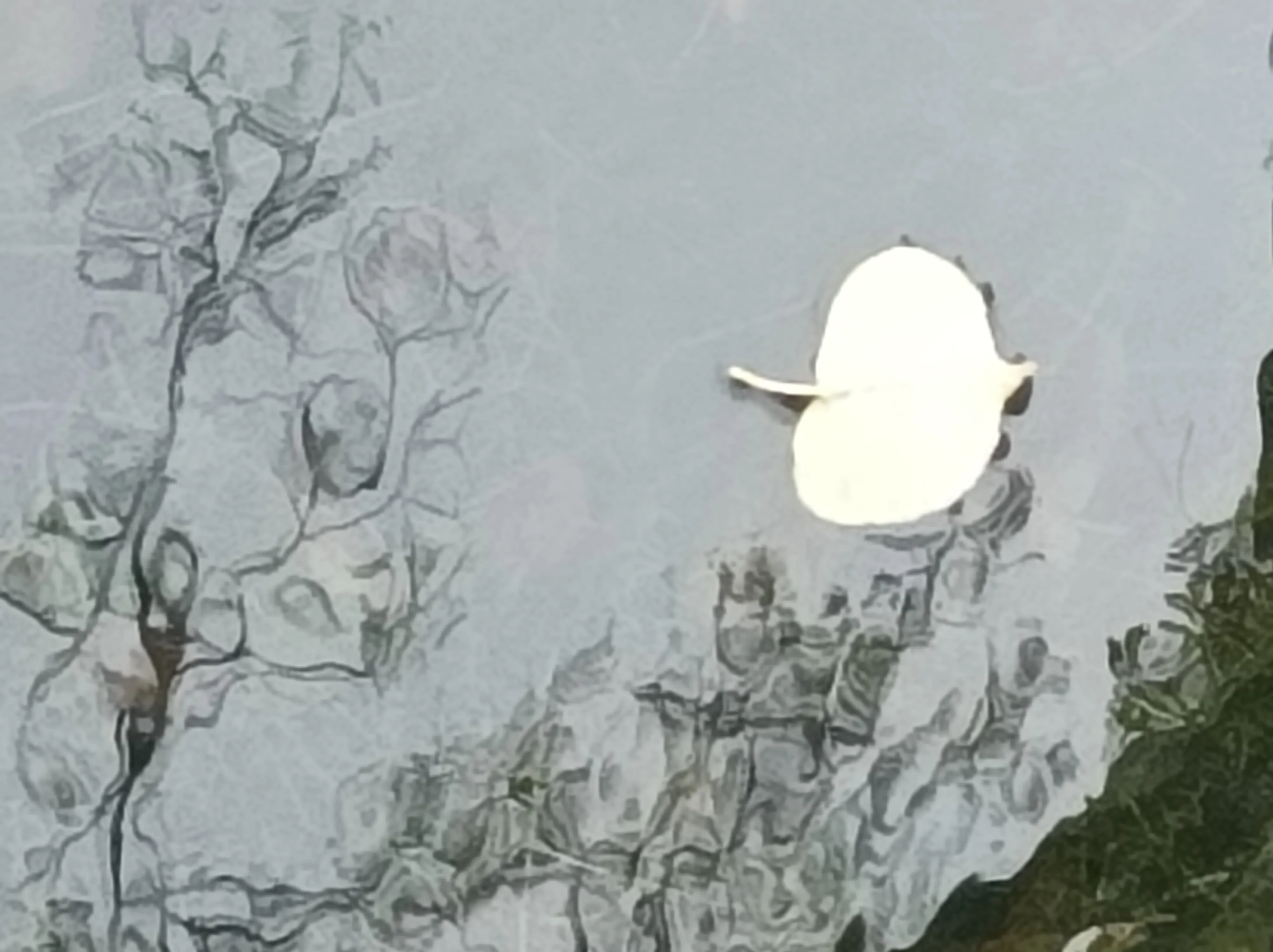 Лист на воде