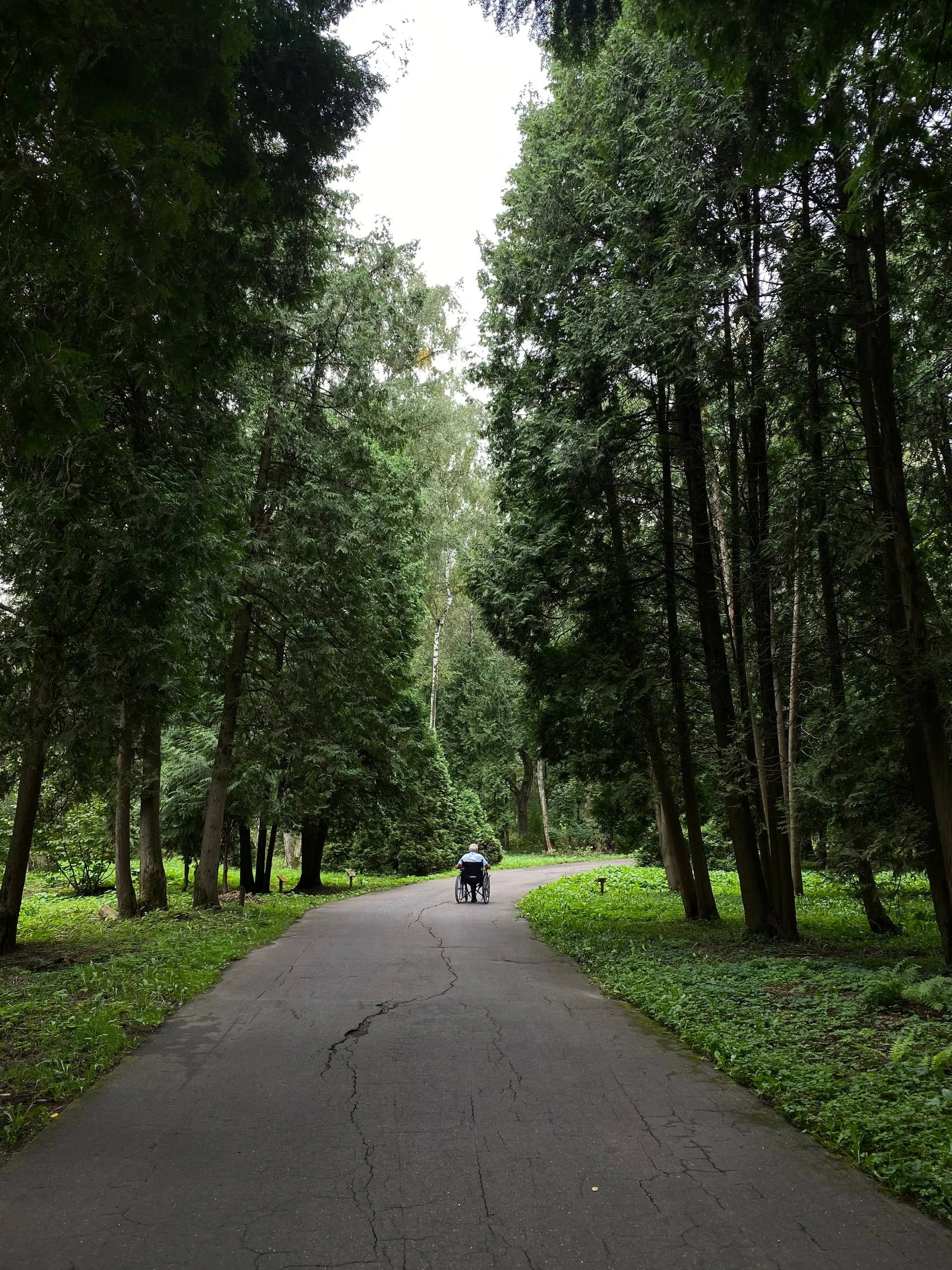 Идеальные дни