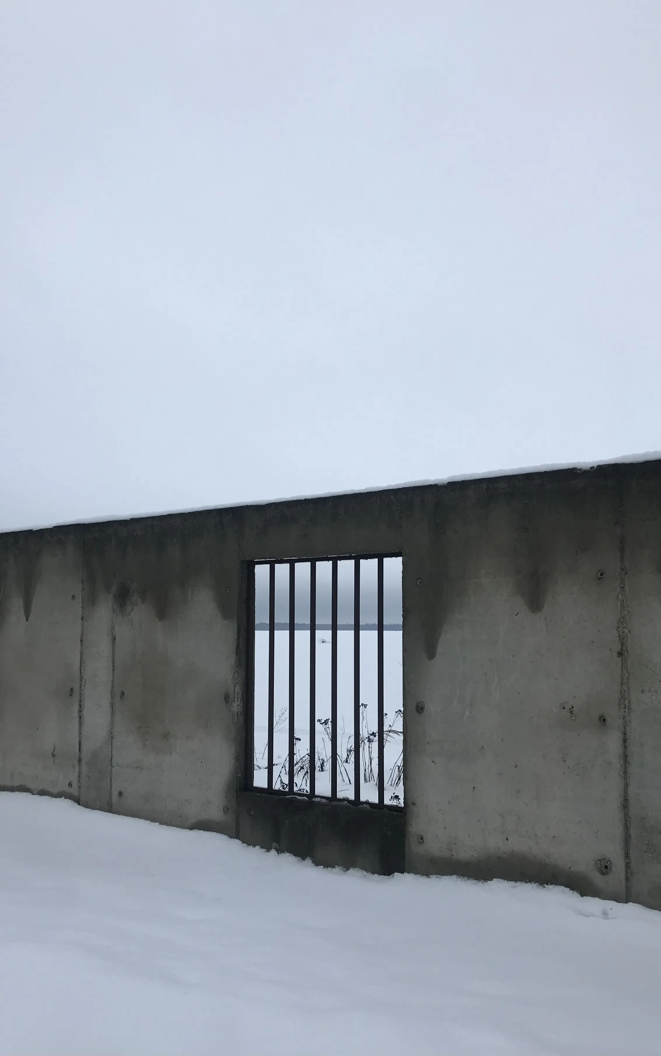 Новая жизнь