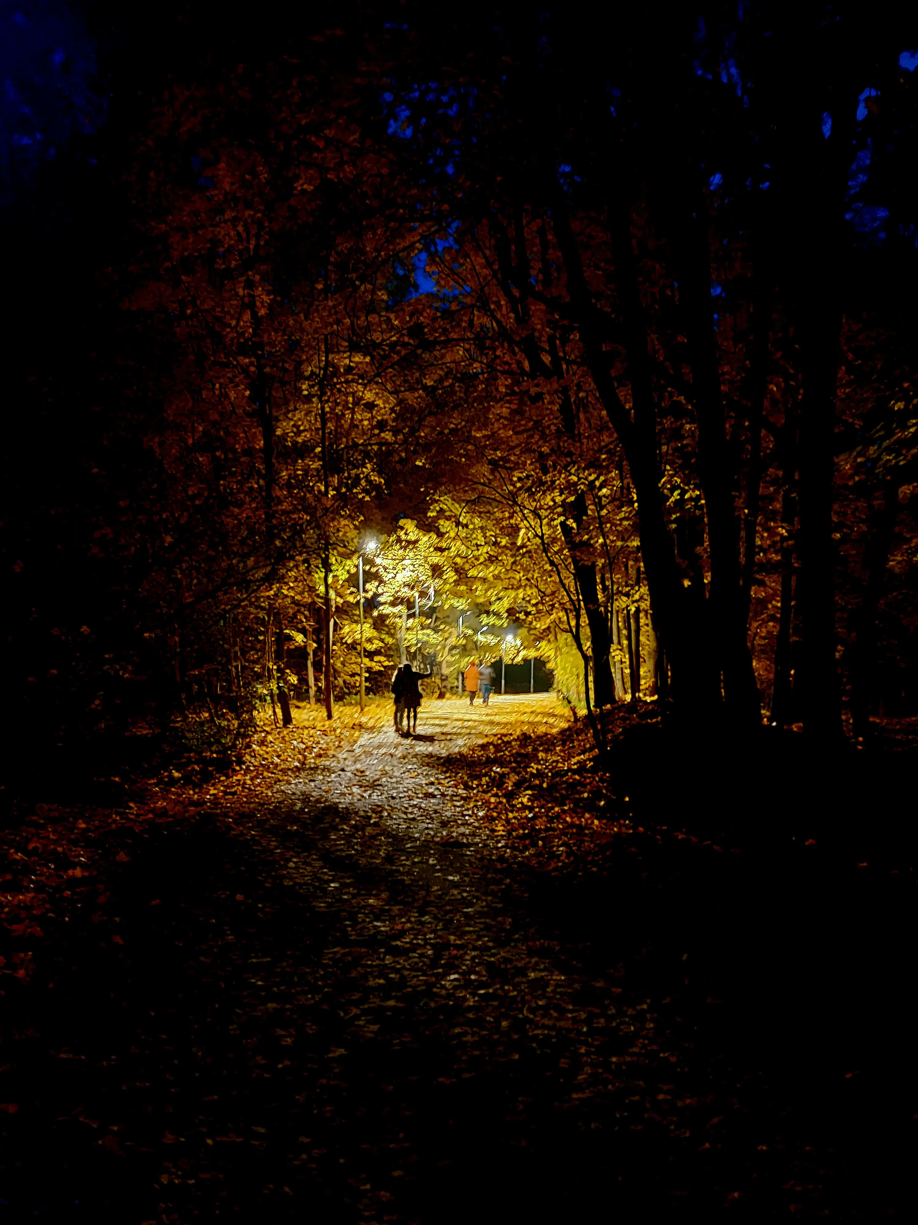 Московская осень