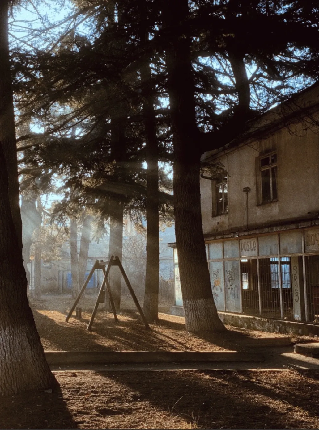 Солнце в Цхнети