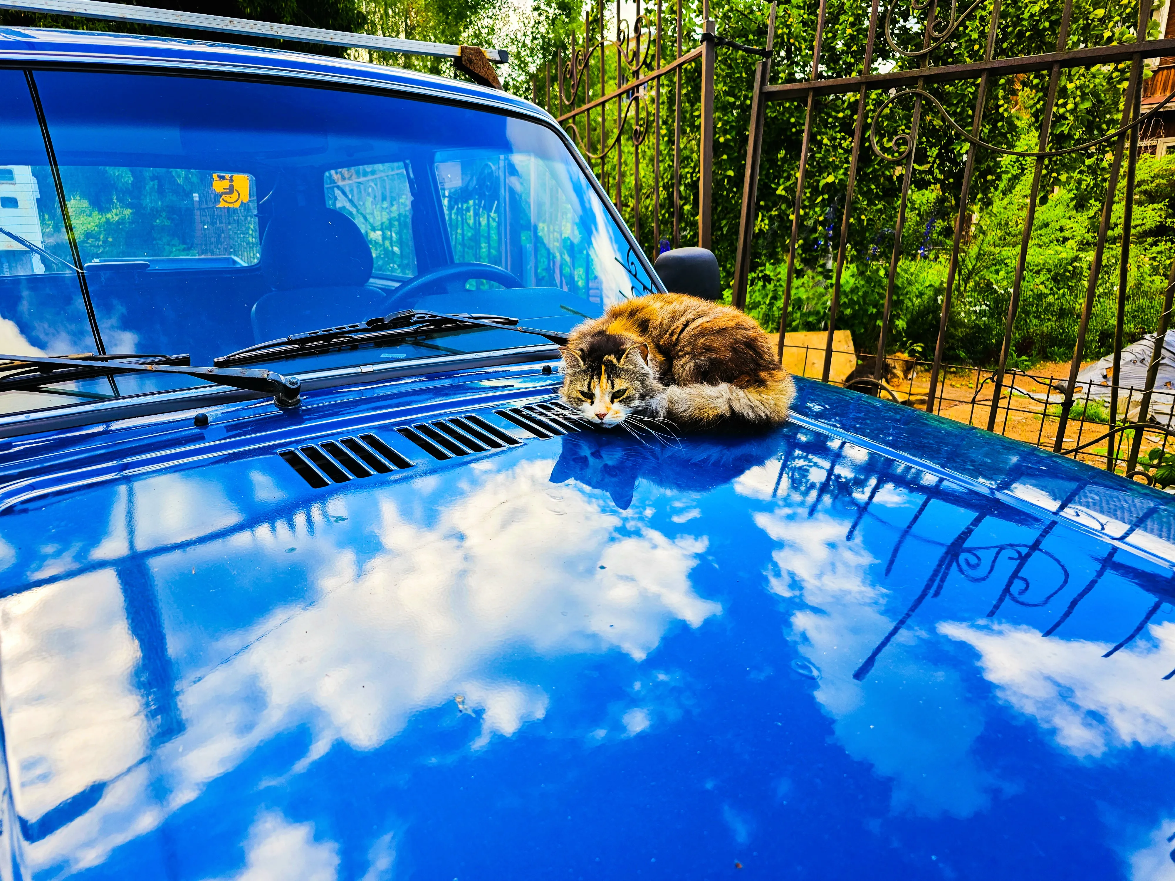 В плену облаков