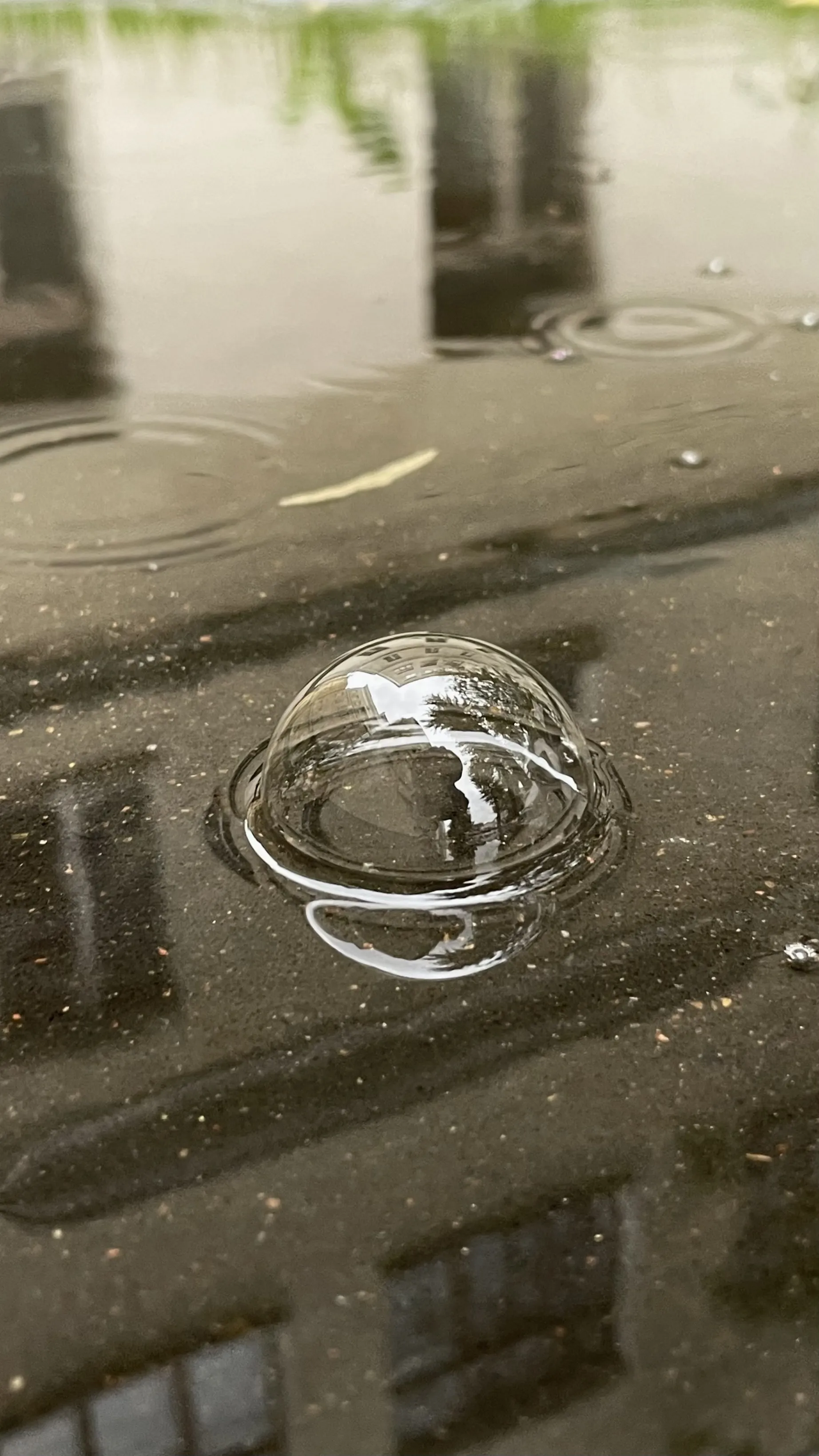 Над колпаком