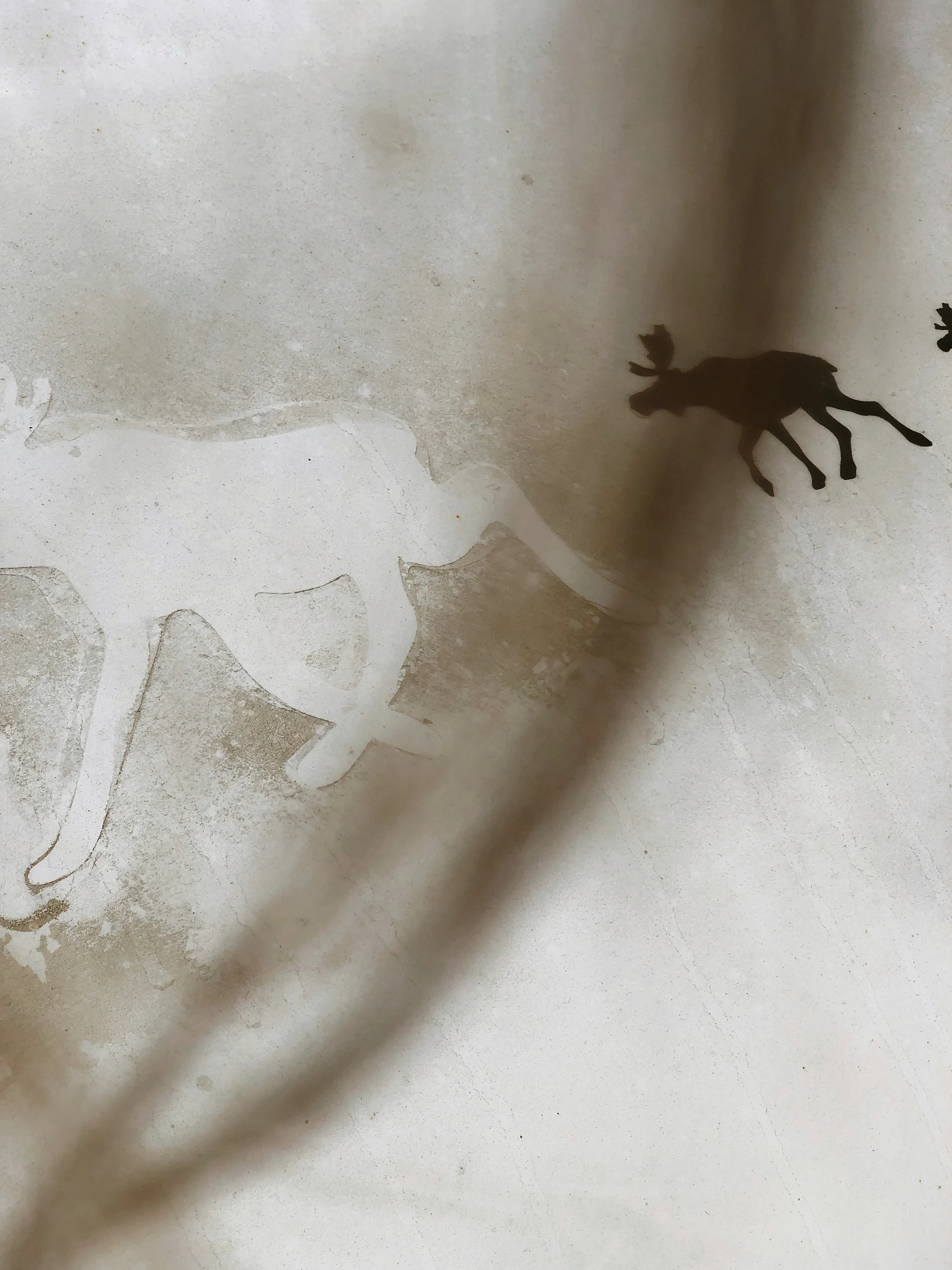 Пыльное эхо