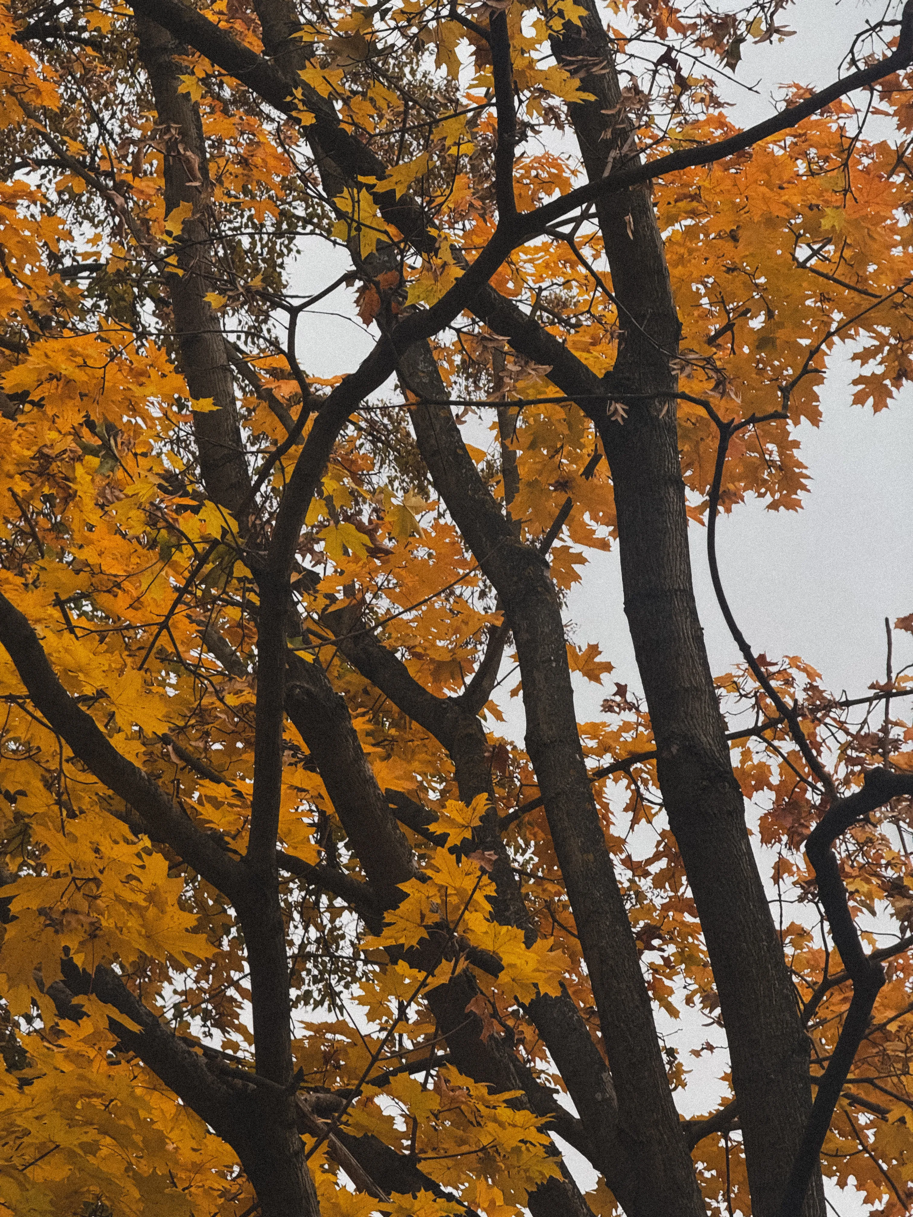 Линии жизни