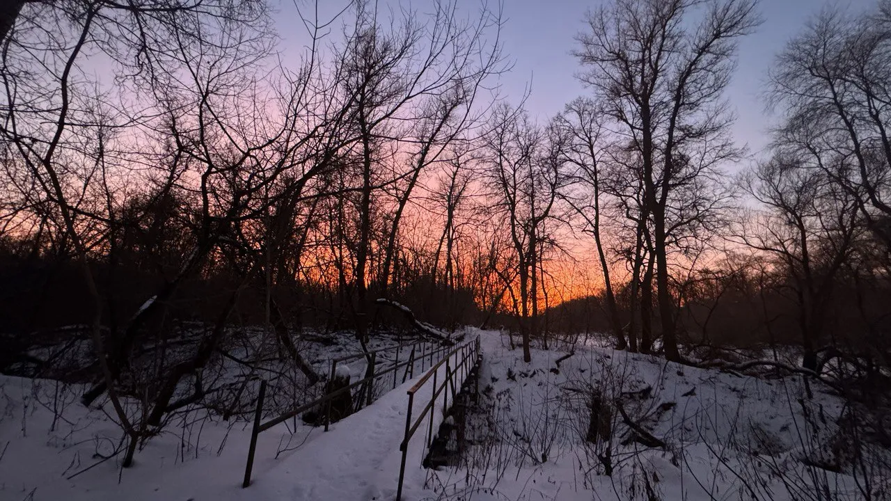 Мой дачный путь