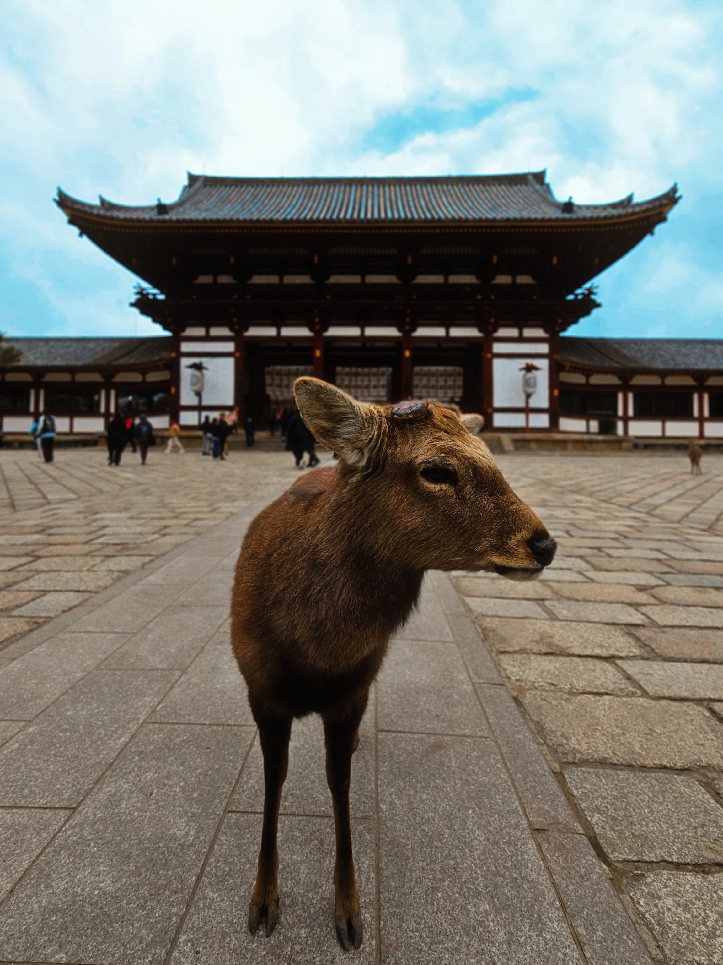 Аттракцион