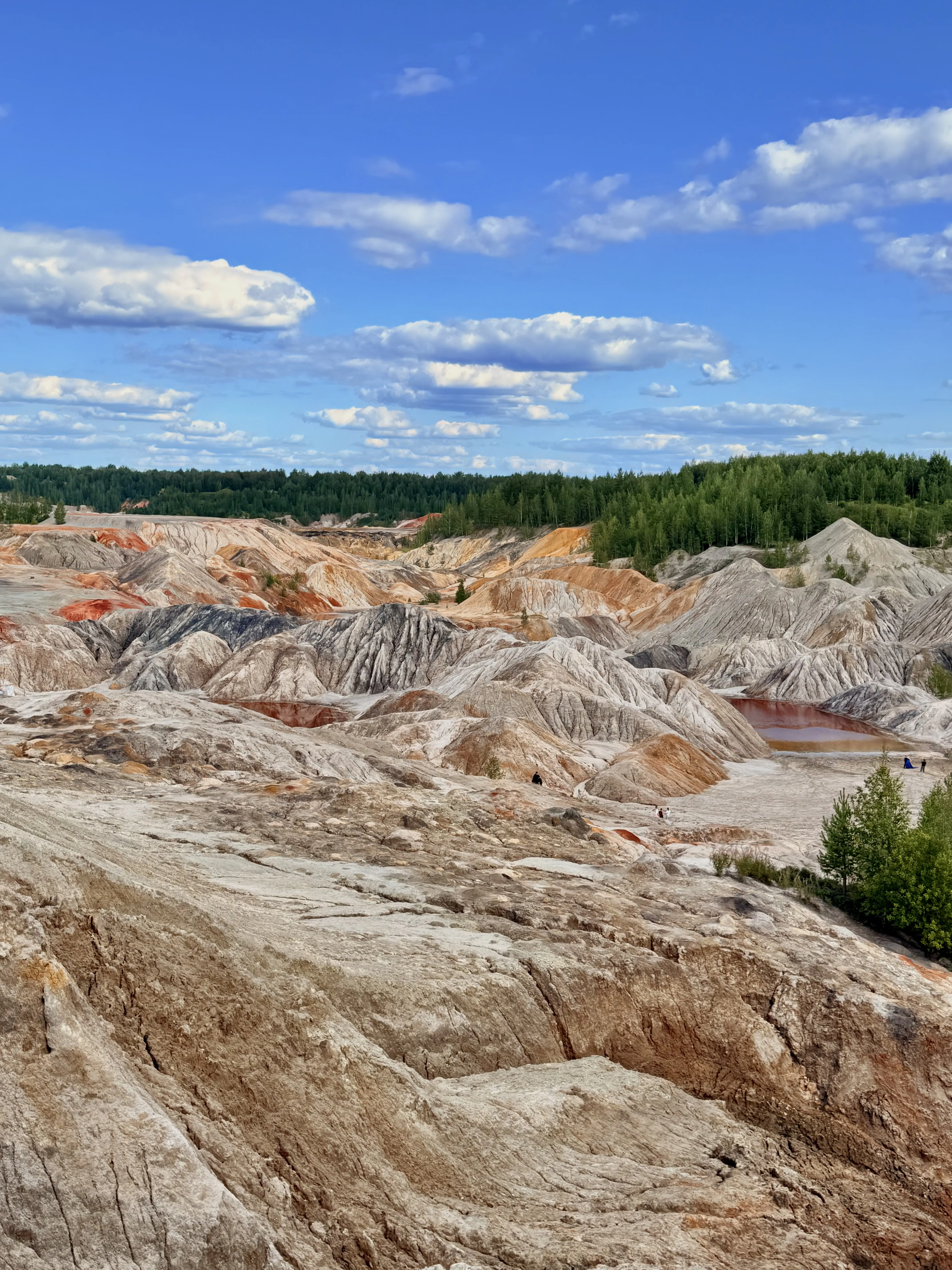 Красная планета у меня в руках