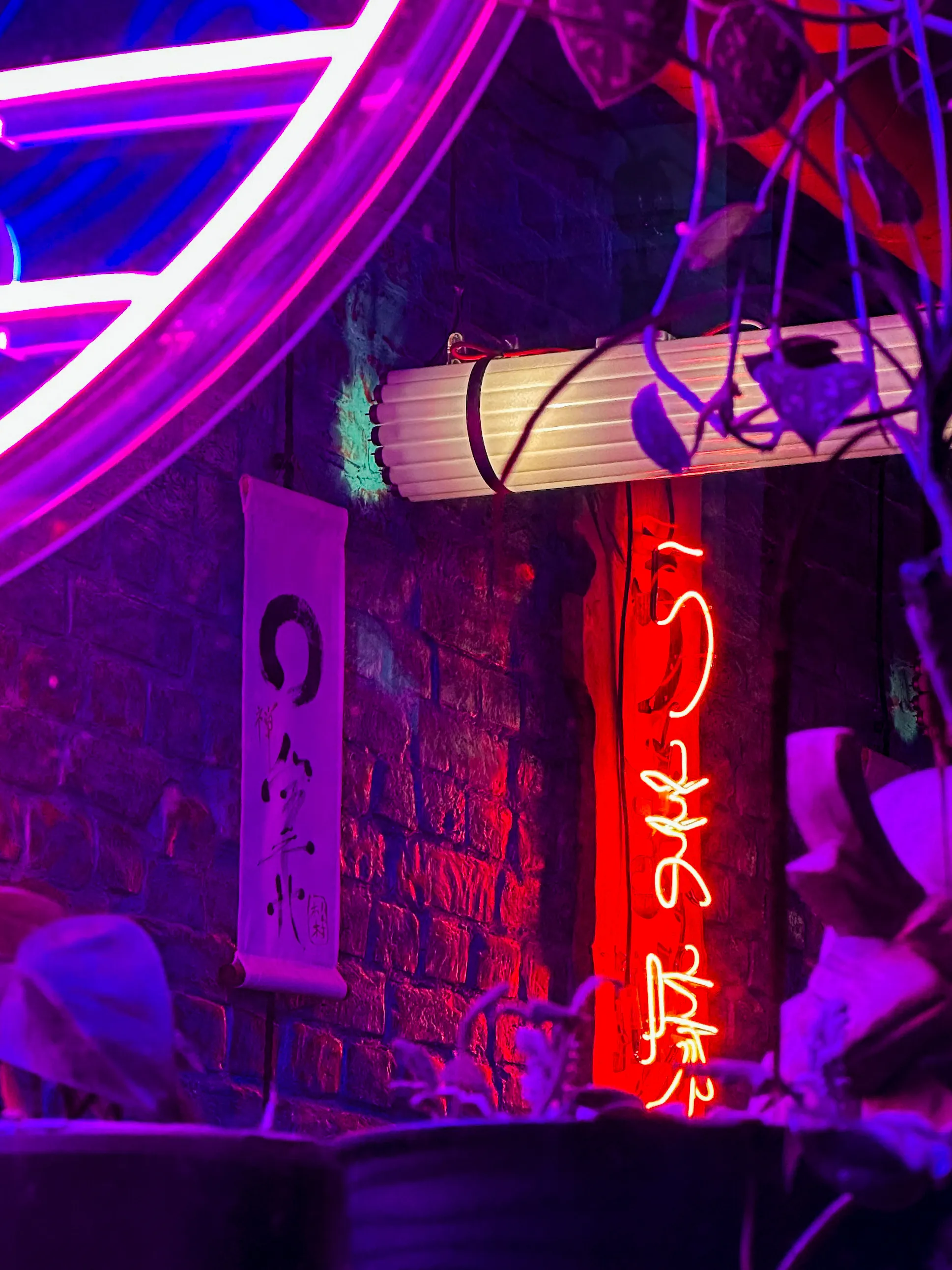 Частица иного