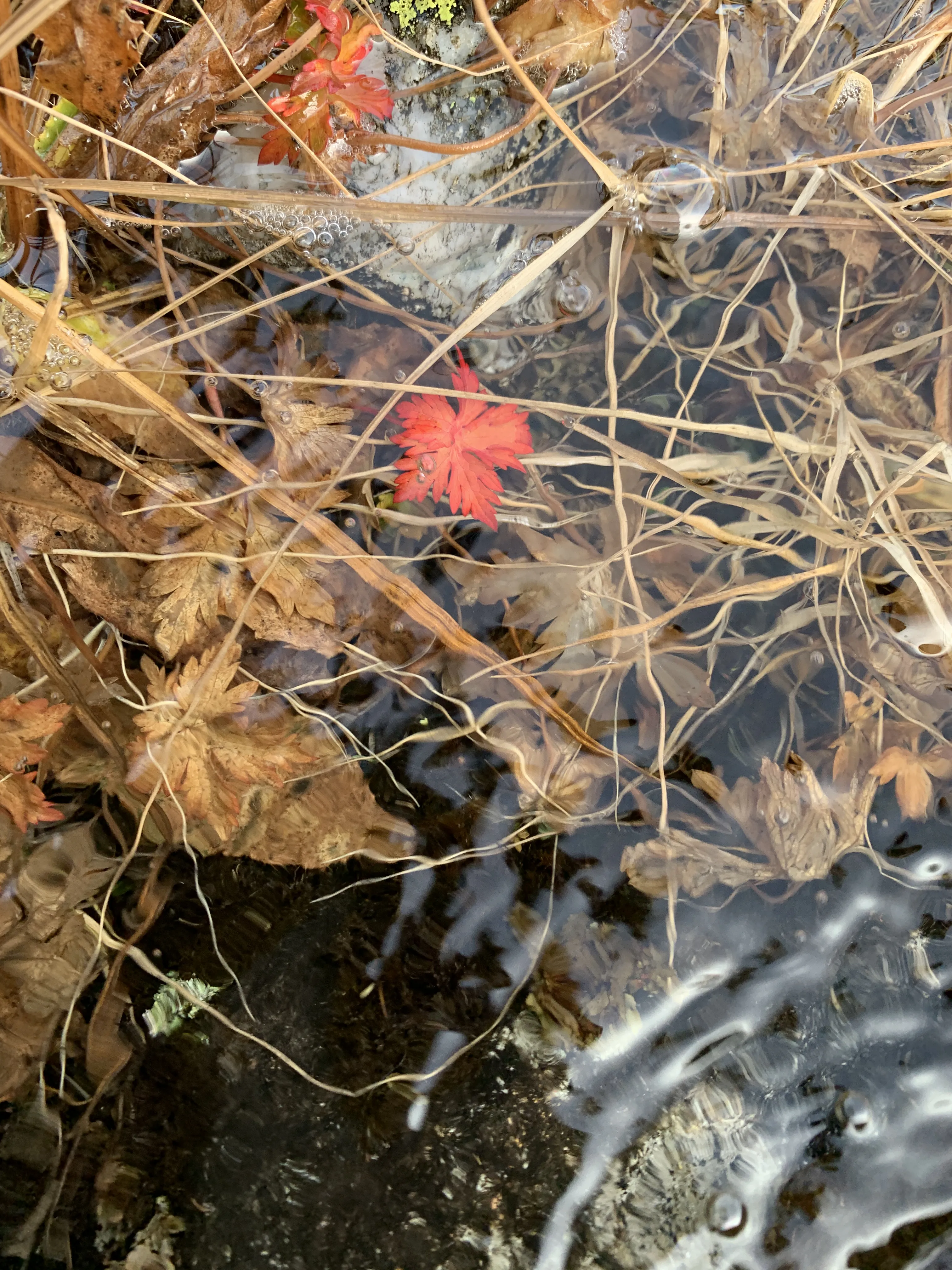 Яркая индивидуальность