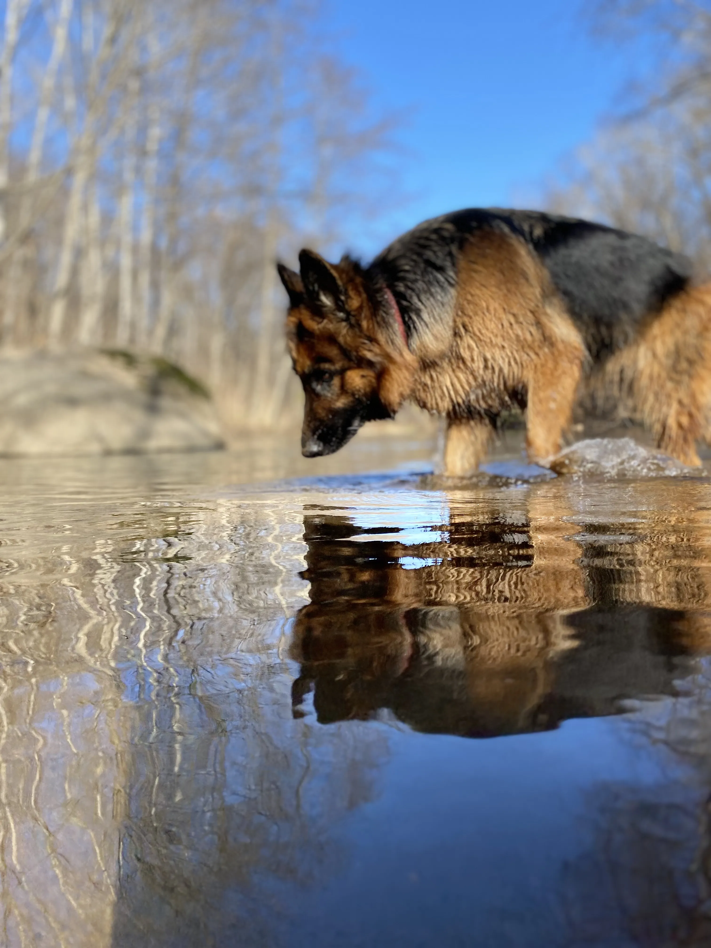 Зеркальная глазурь