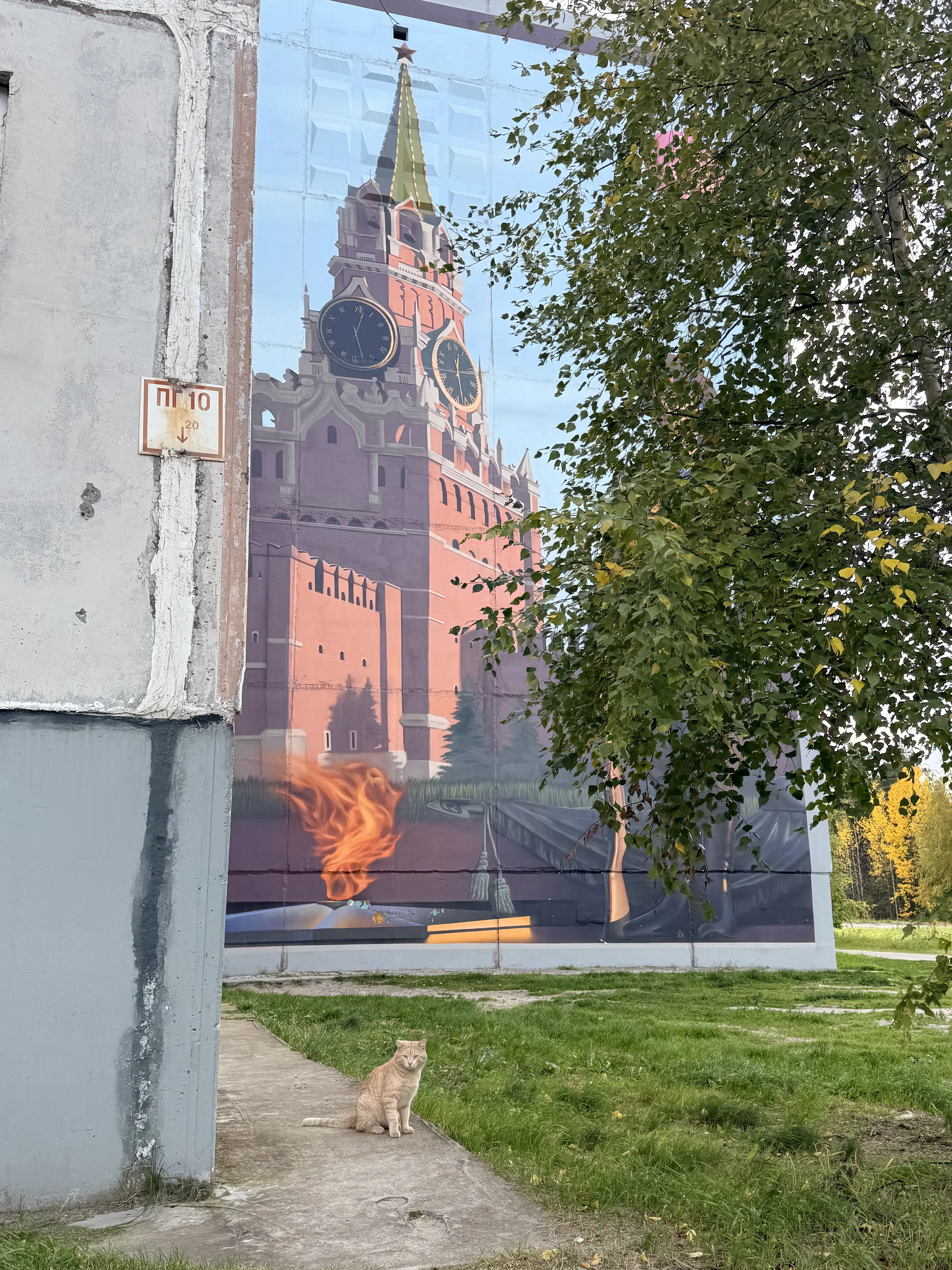 Кот у Кремля