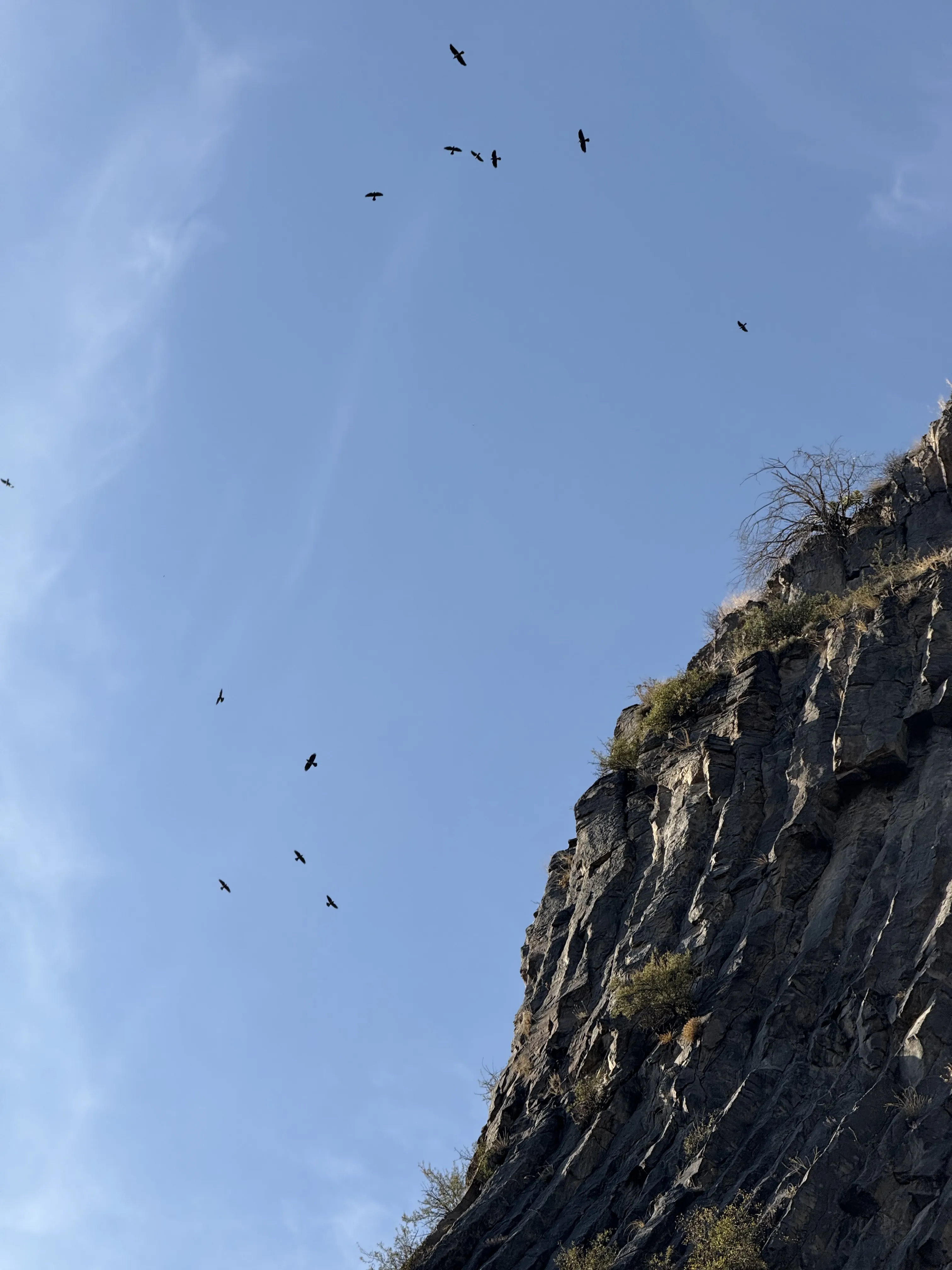 Memories from my Armenia