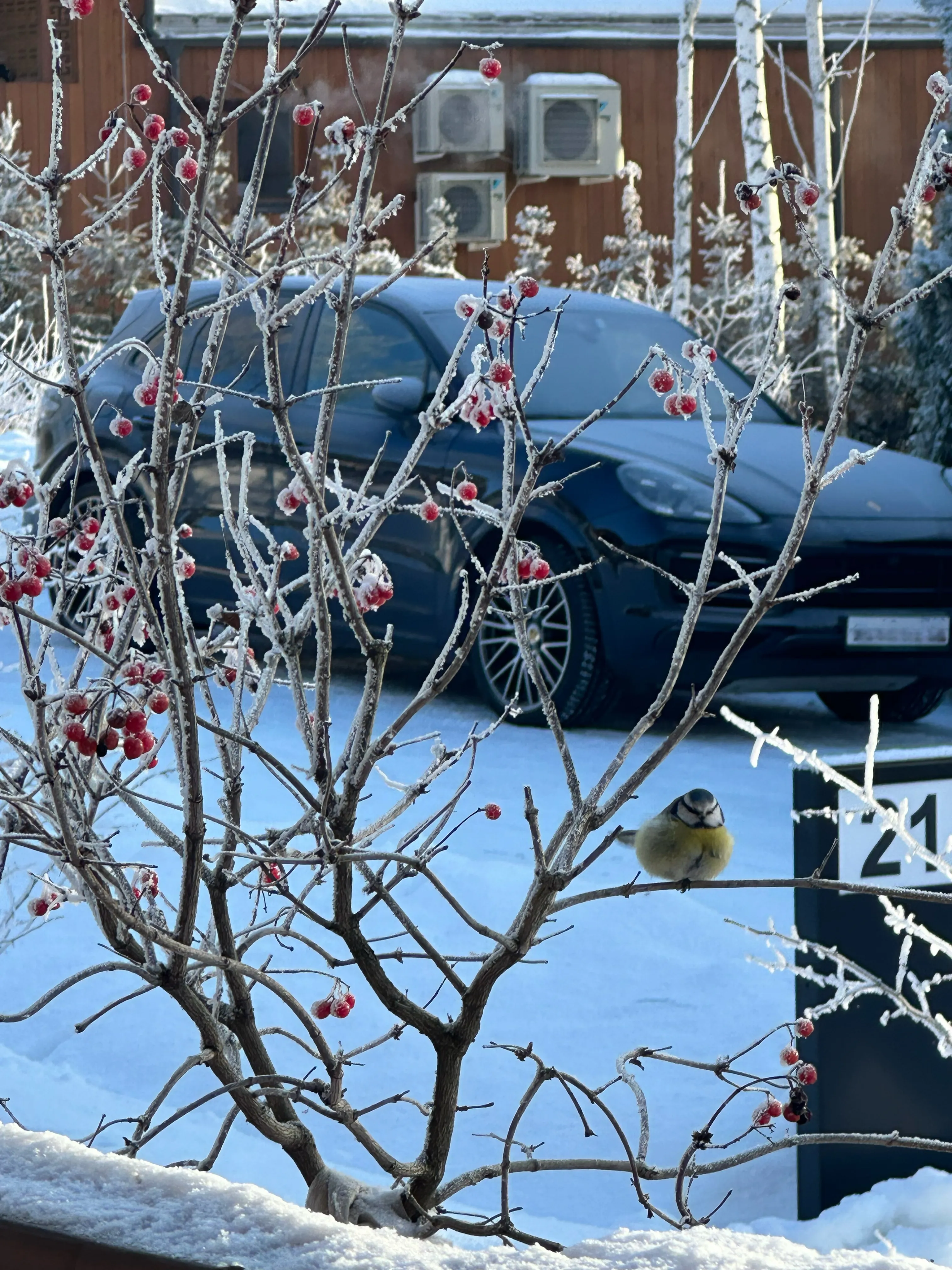 Тихая роскошь