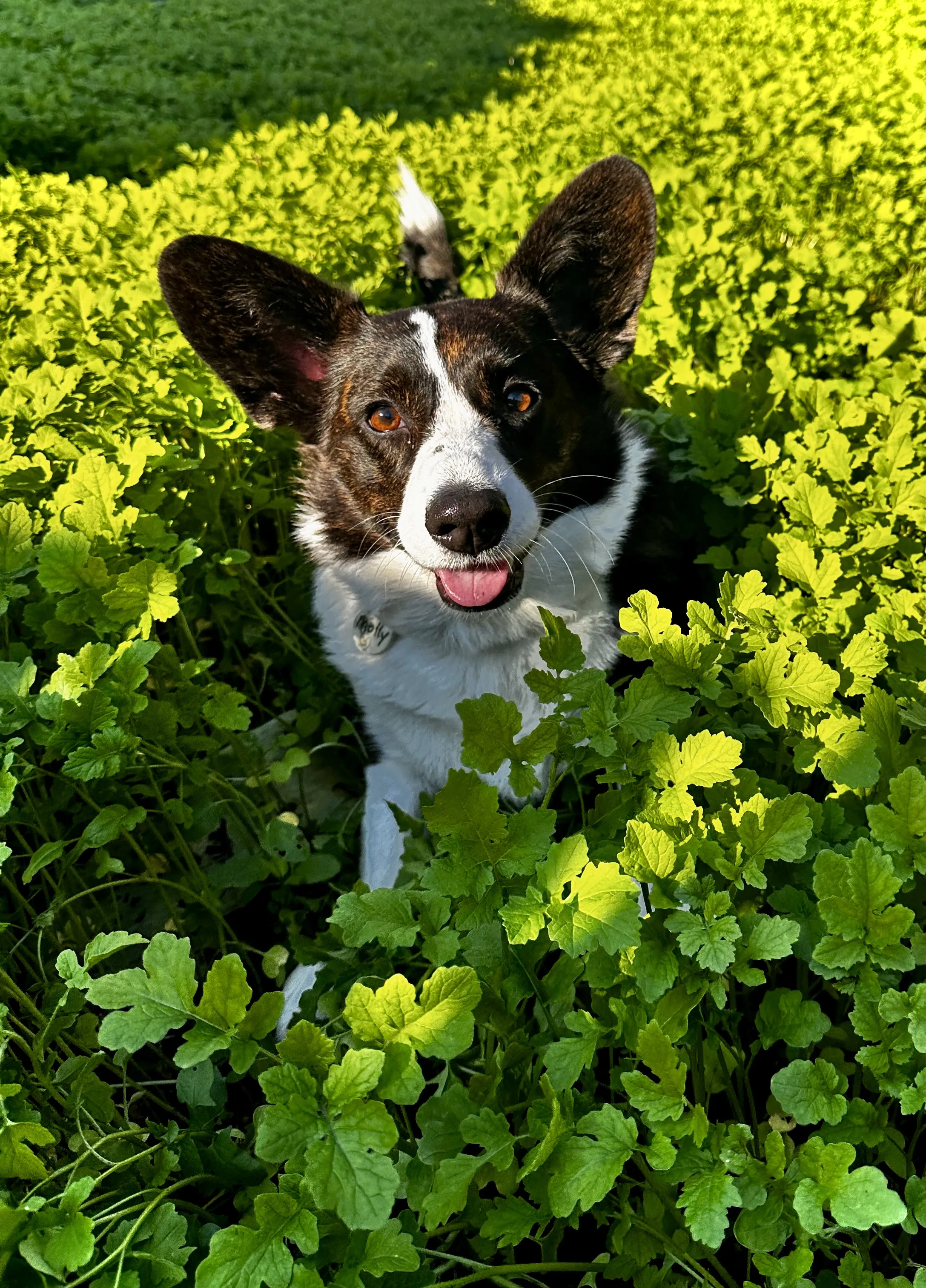 Тепло на даче