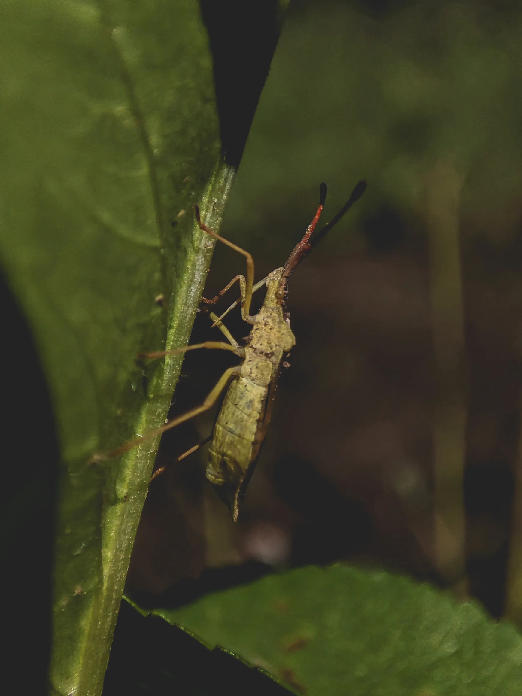 Жизненный путь