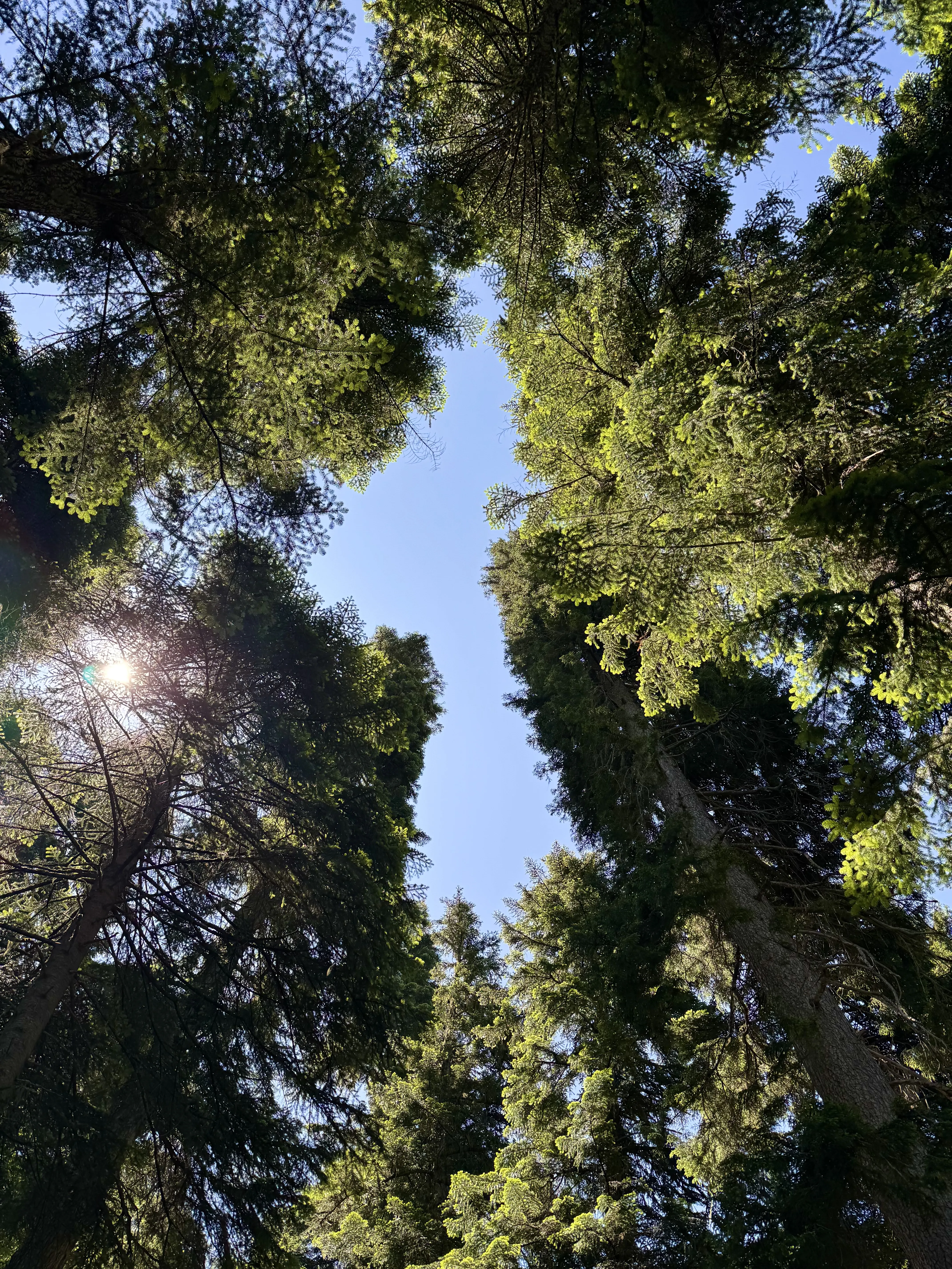 Взгляд в высь