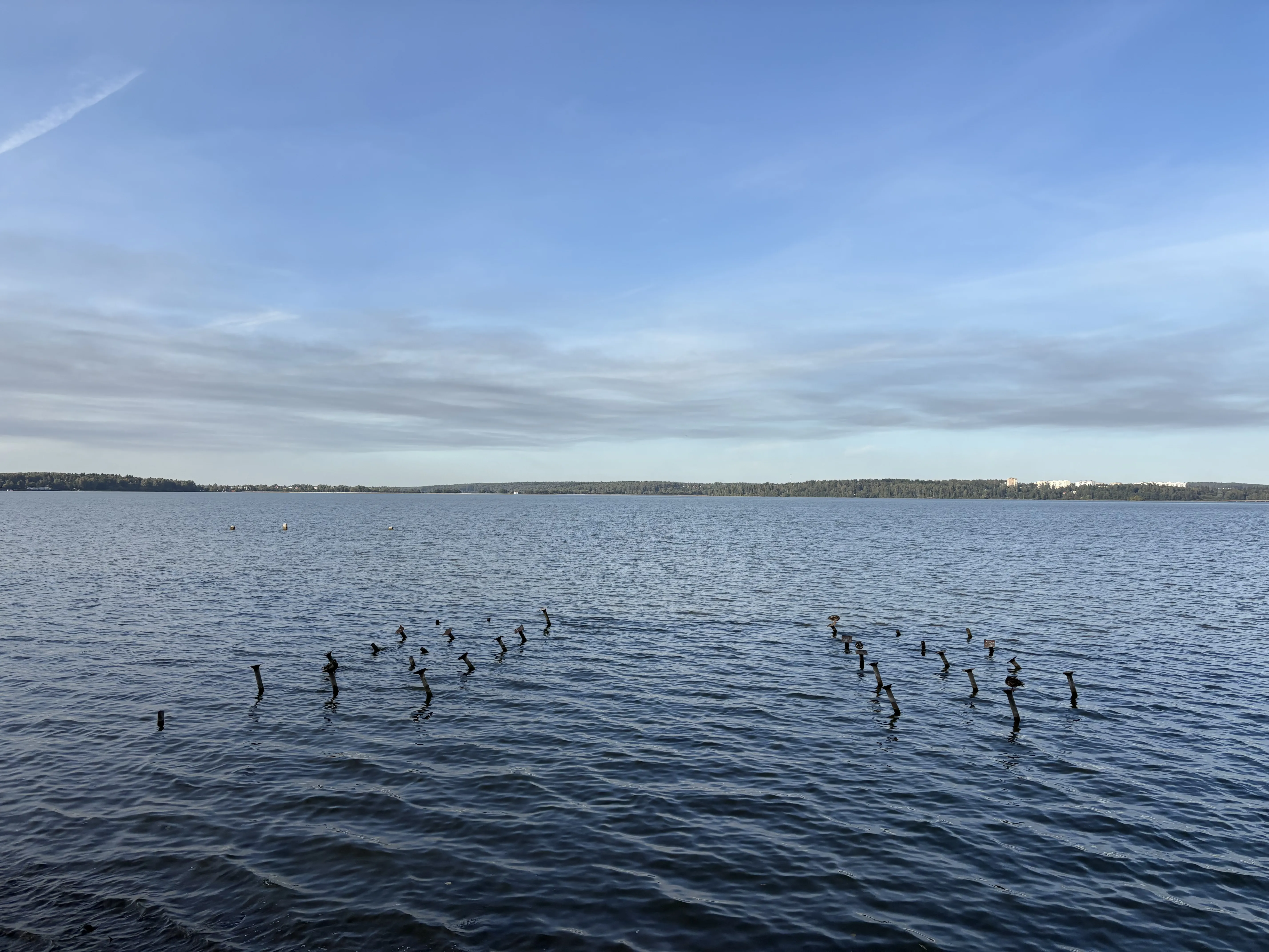 Гвозди из воды
