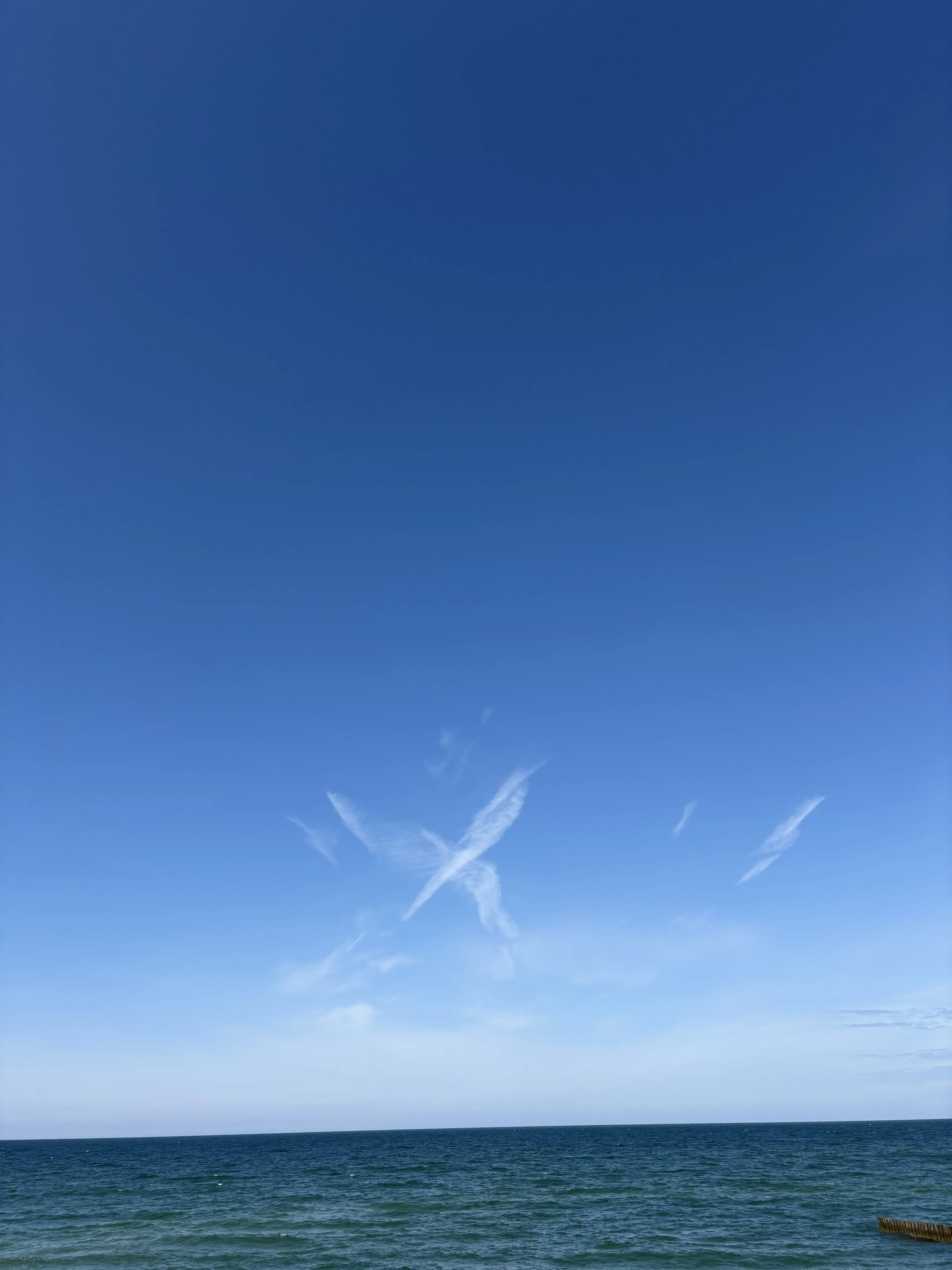 Небесные птицы