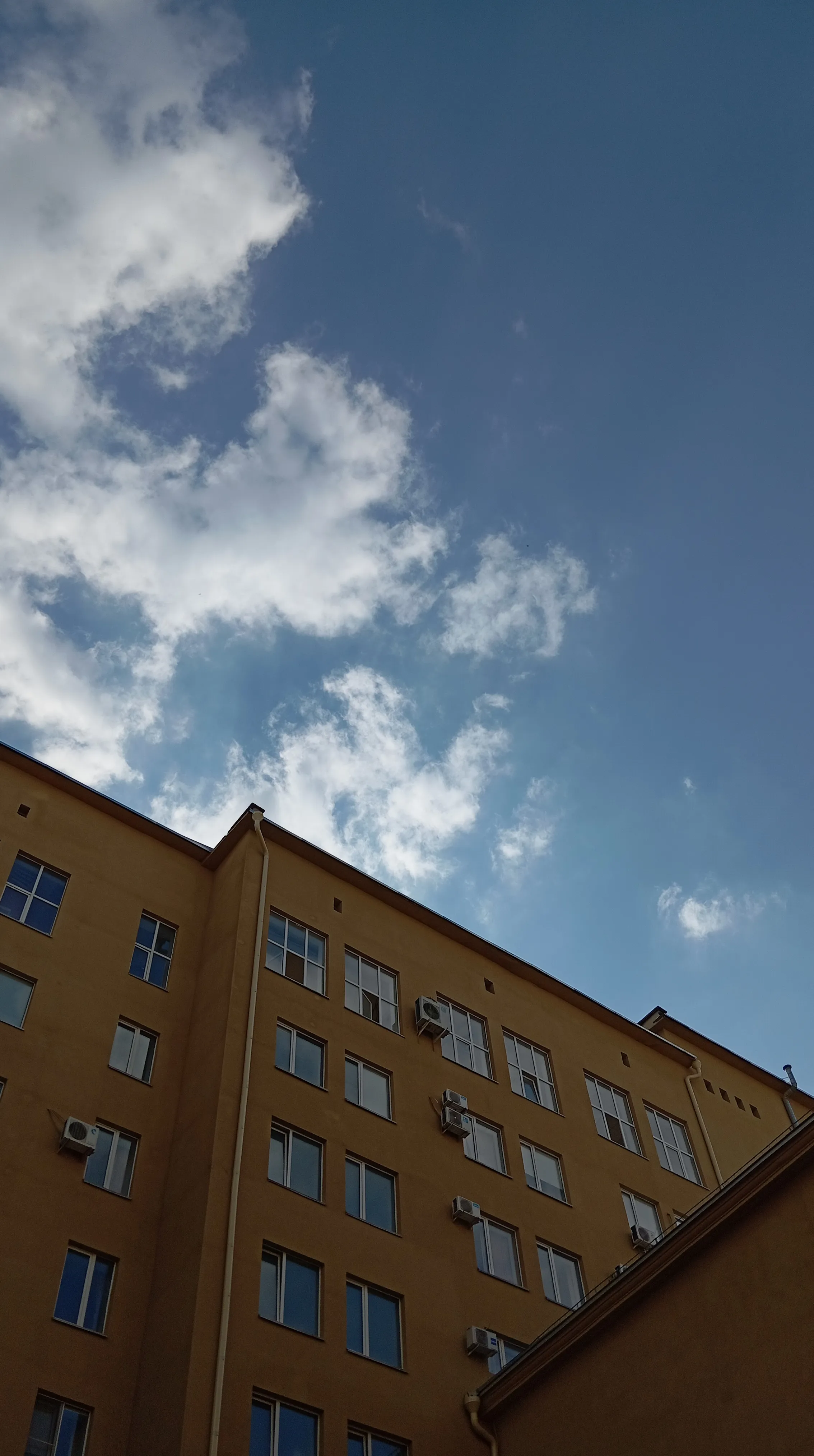 Сердце Alma mater