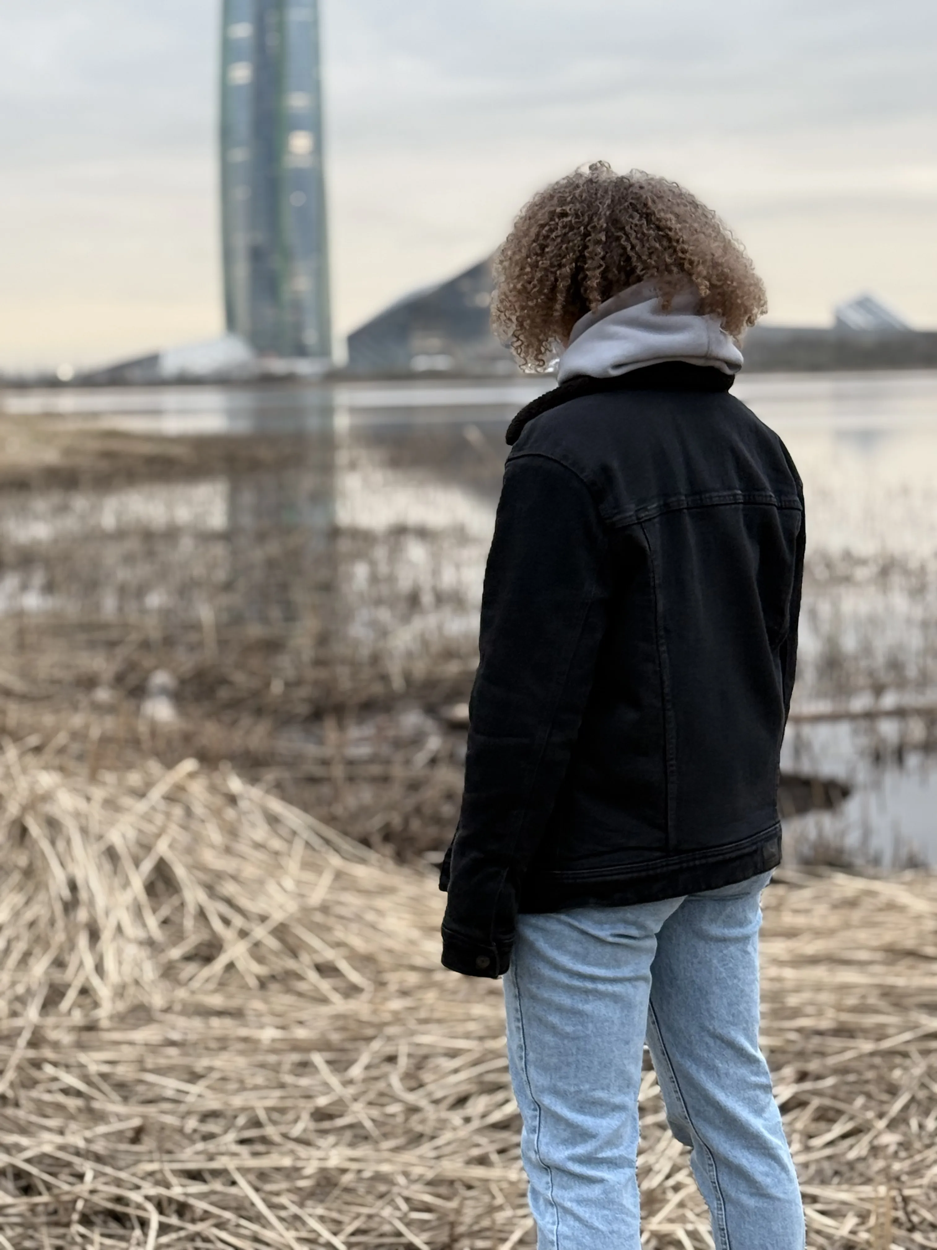 Между природой и стеклом