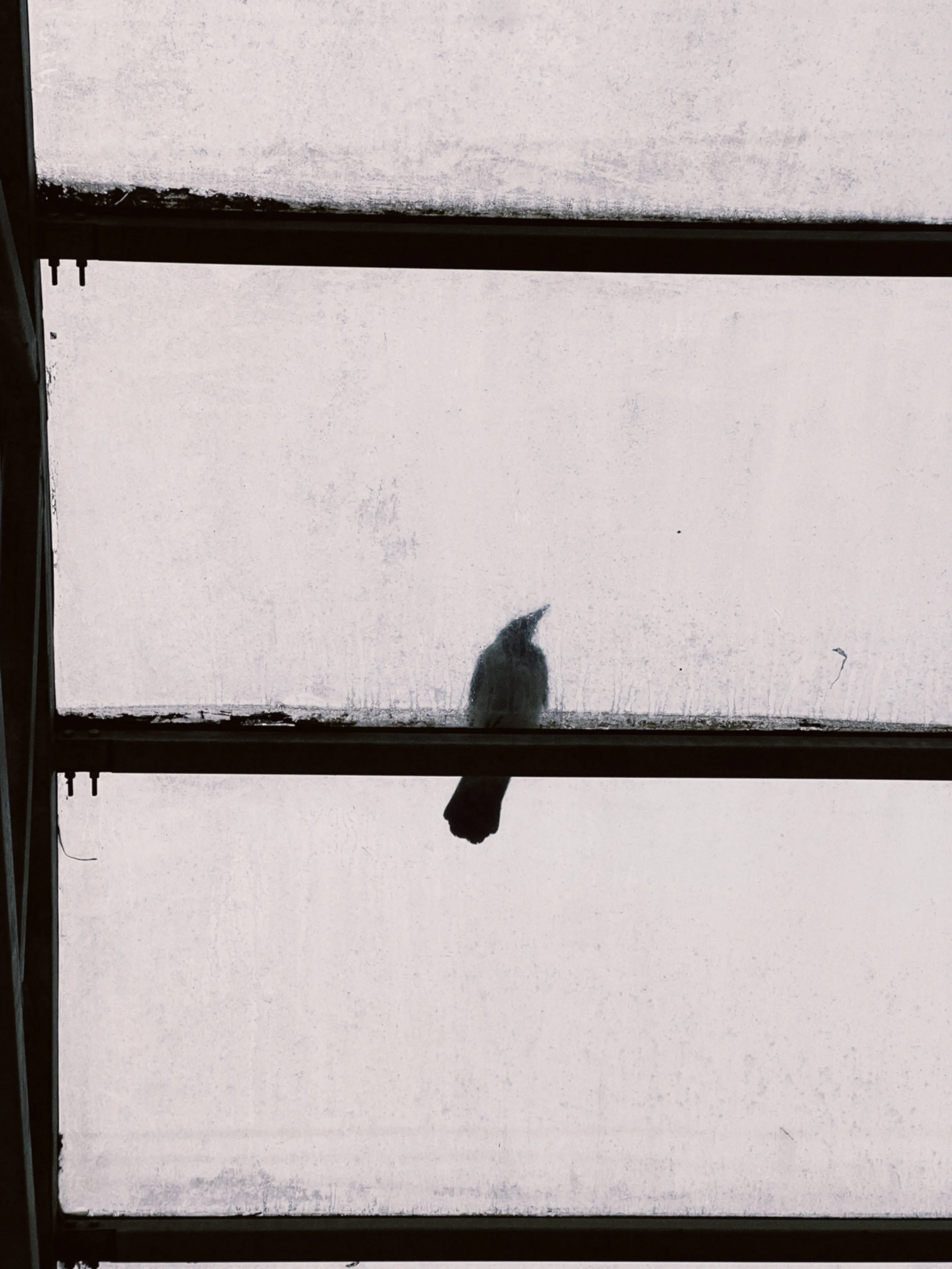 но в этом мире случайностей нет