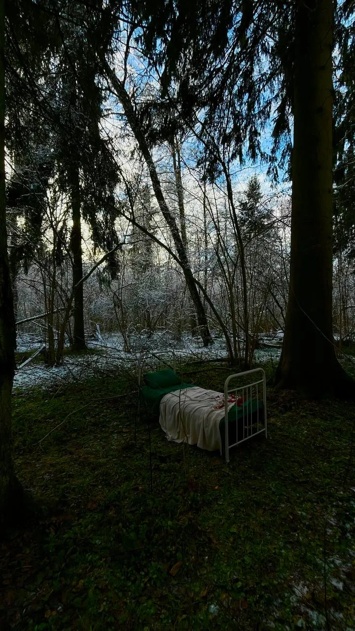 Остановись