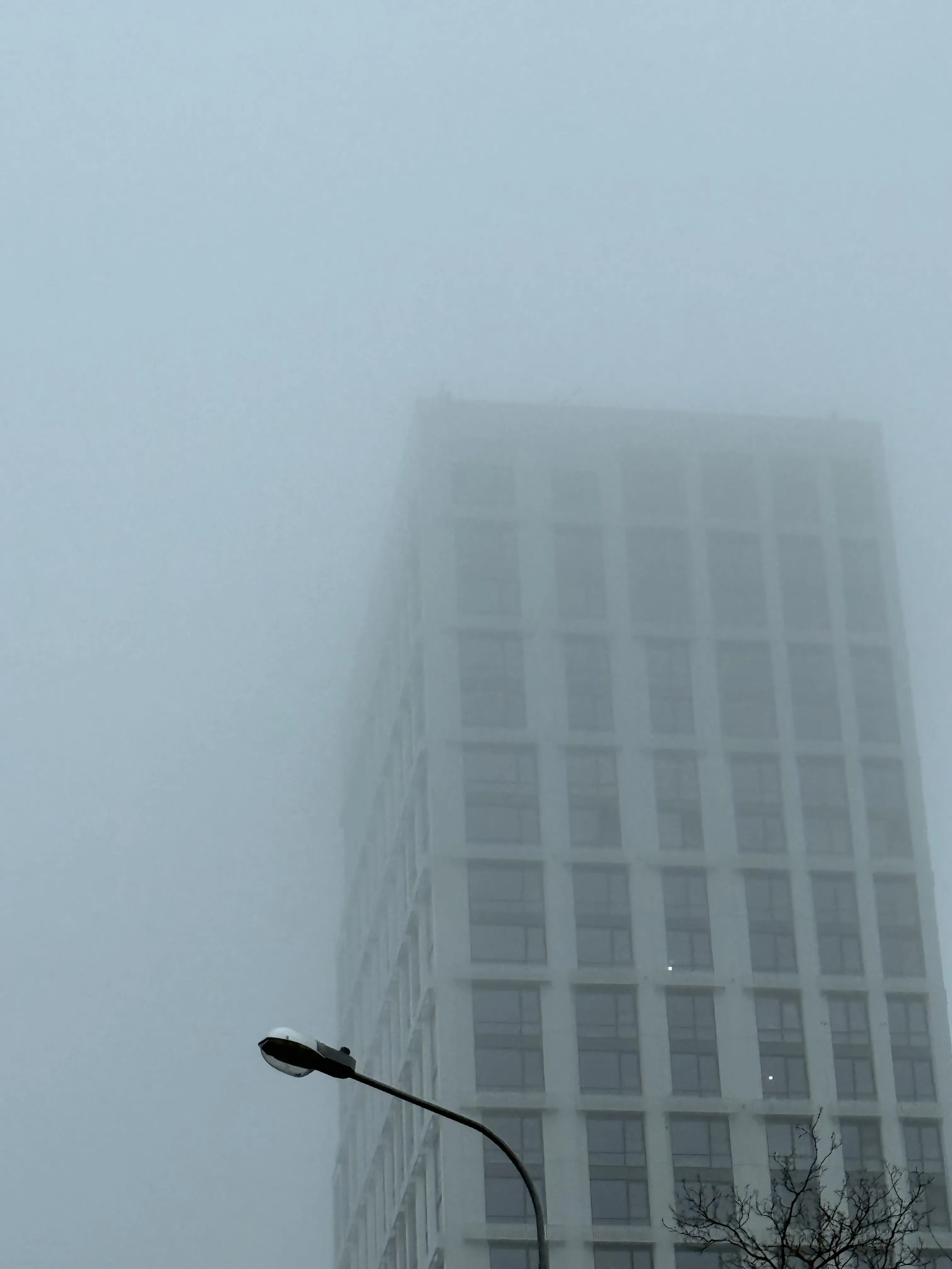 Утро в Ботаническом саду