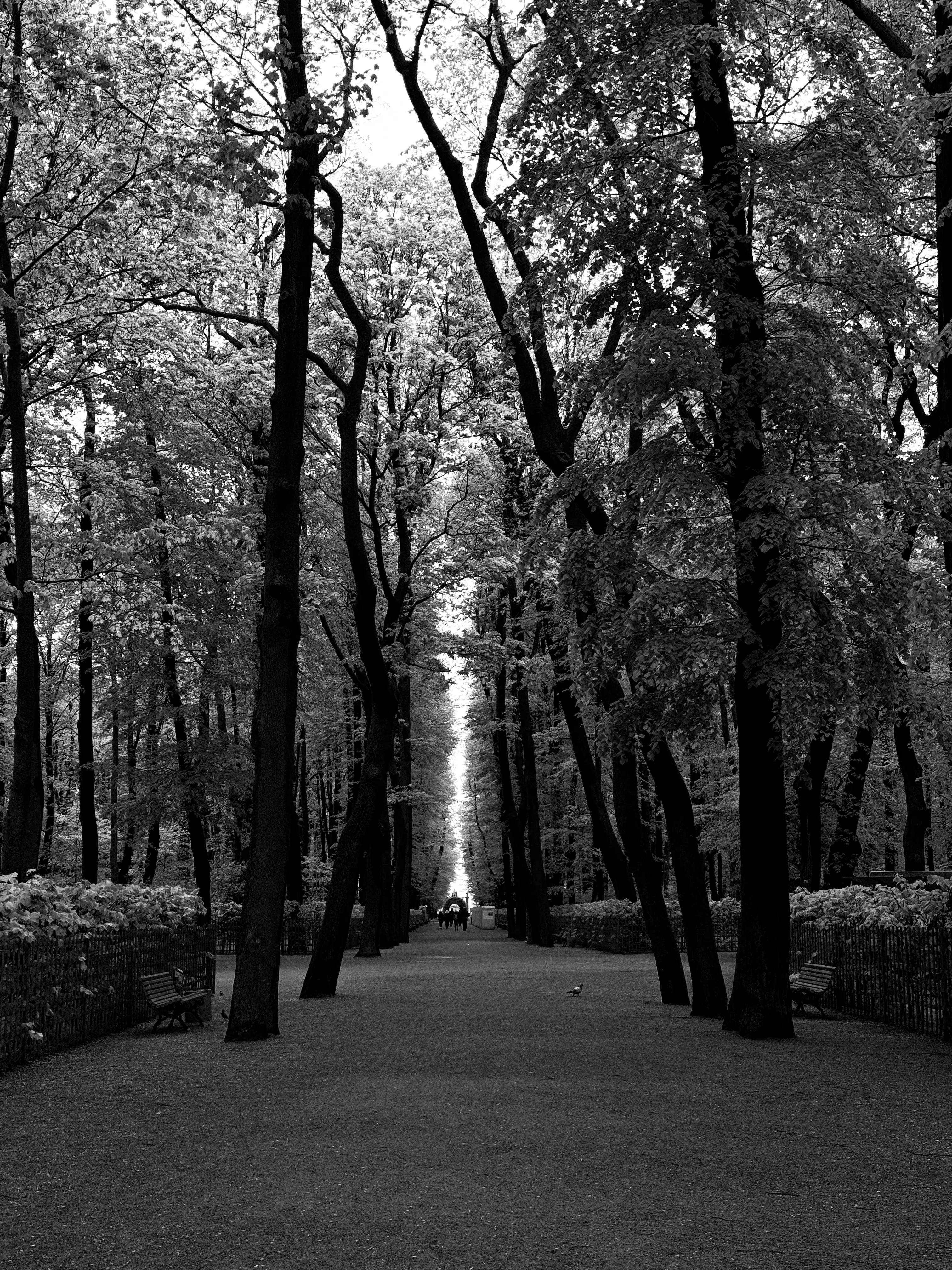 Краски Питера