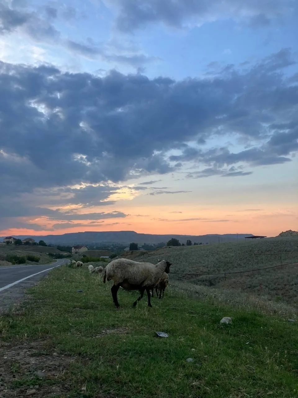 Красота вокруг