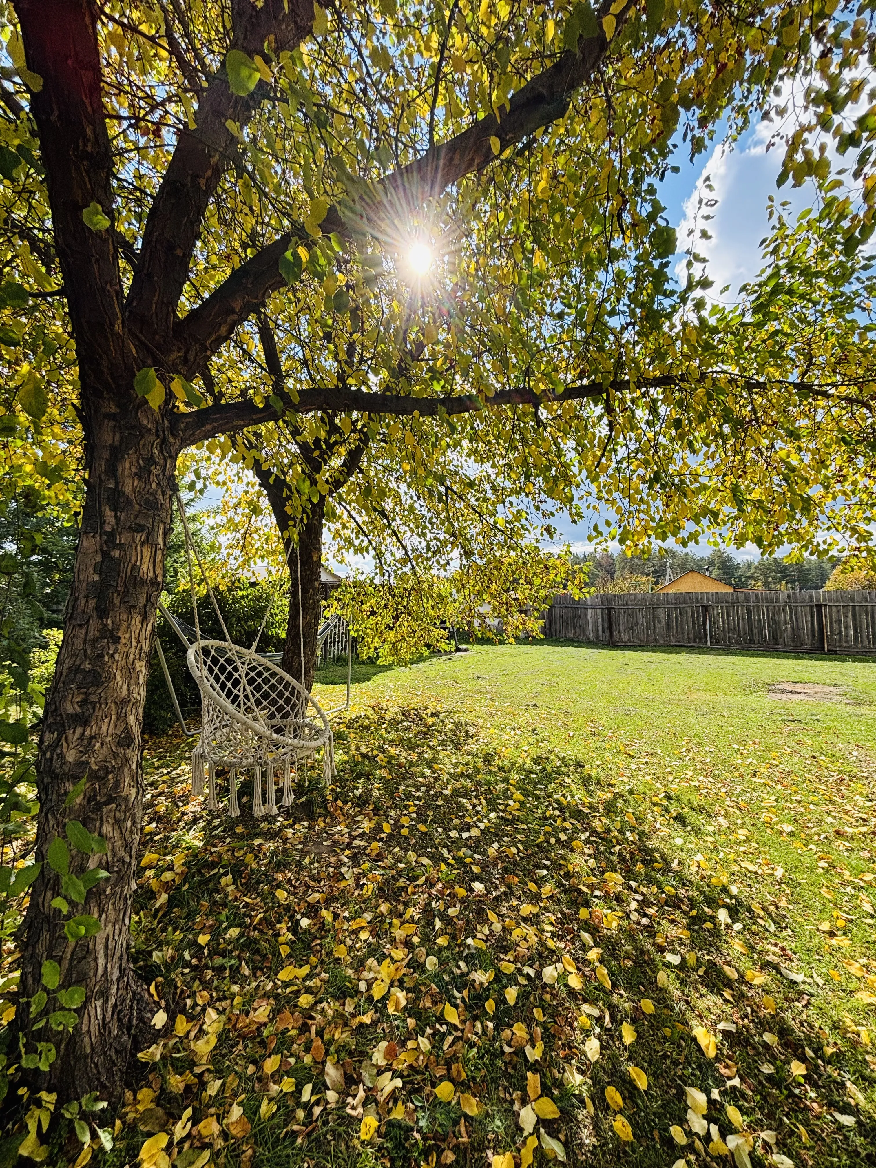 Красота в глазах смотрящего