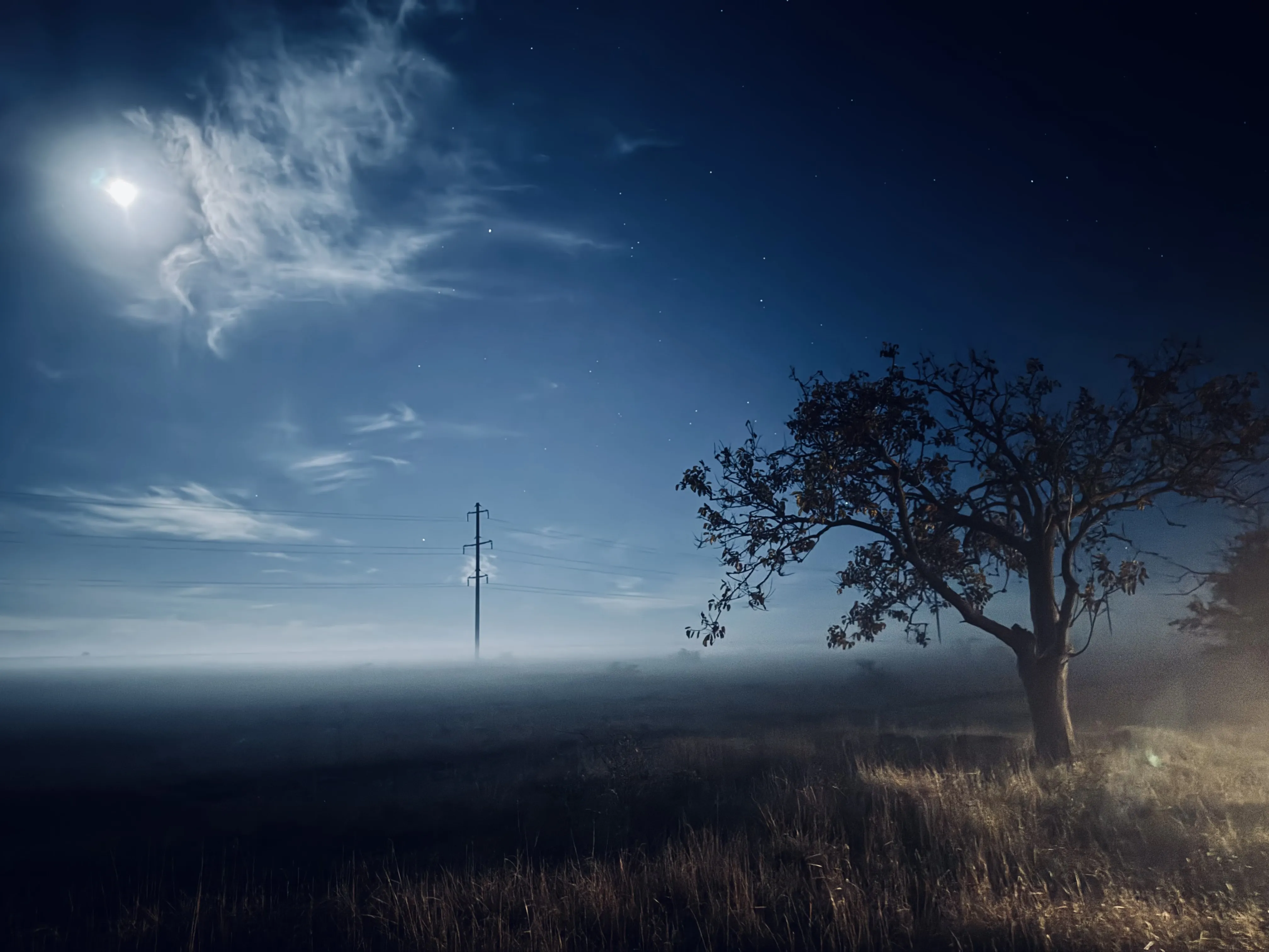 Шепот туманной степи