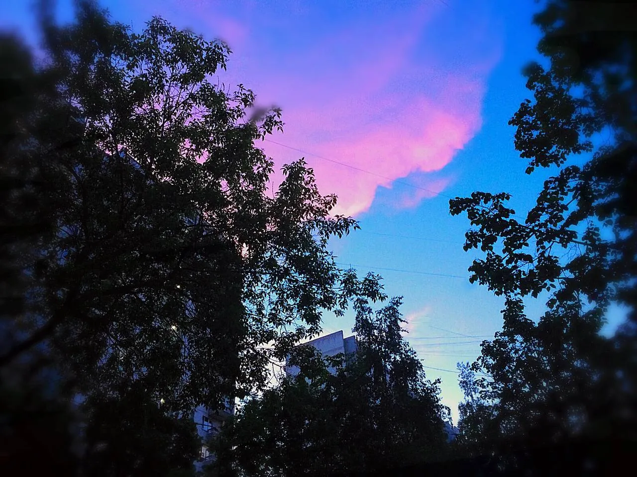 Закатные краски