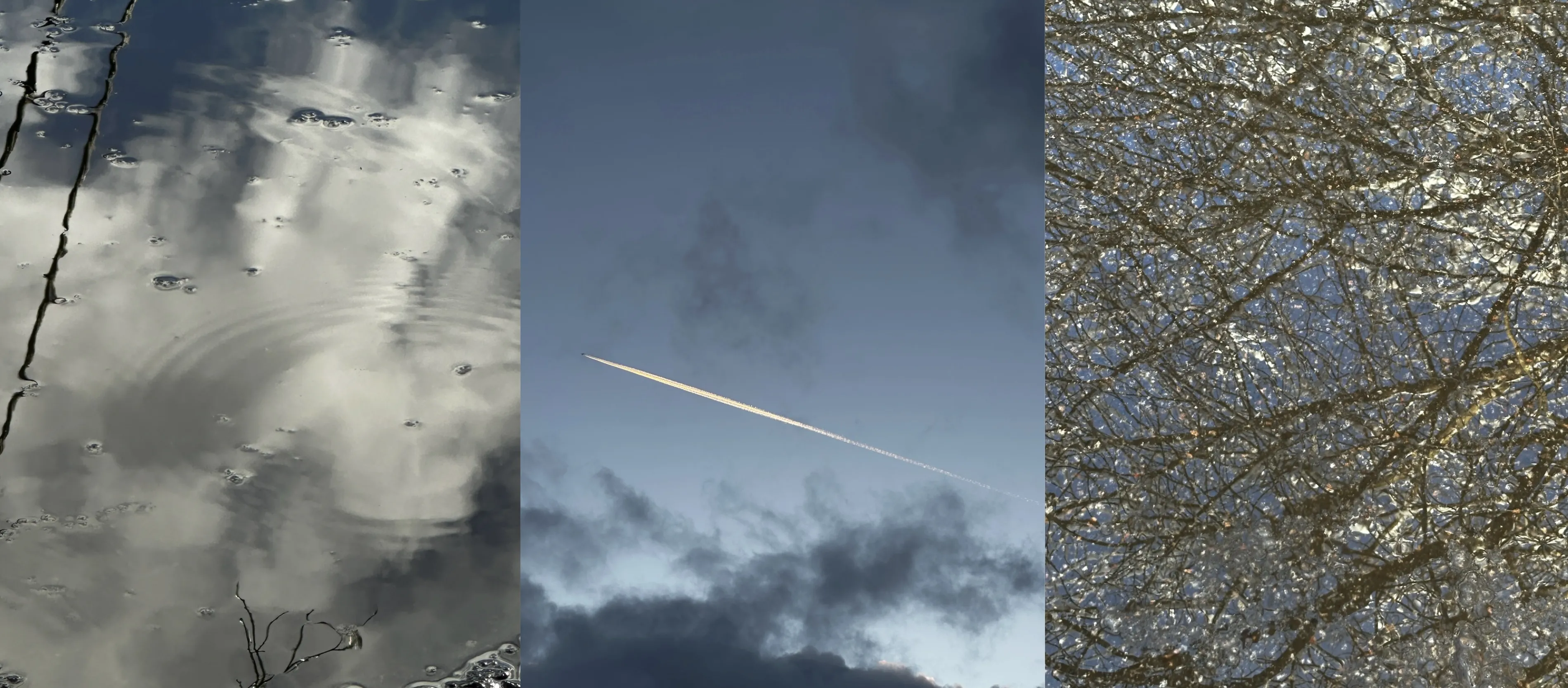 «То, что отражается во мне»