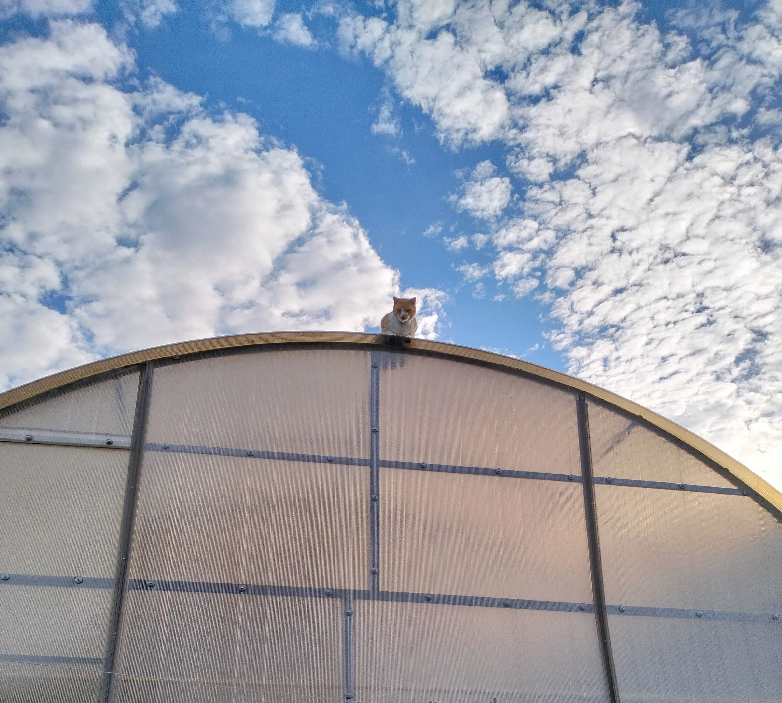 Мне сверху видно всё, ты так и знай