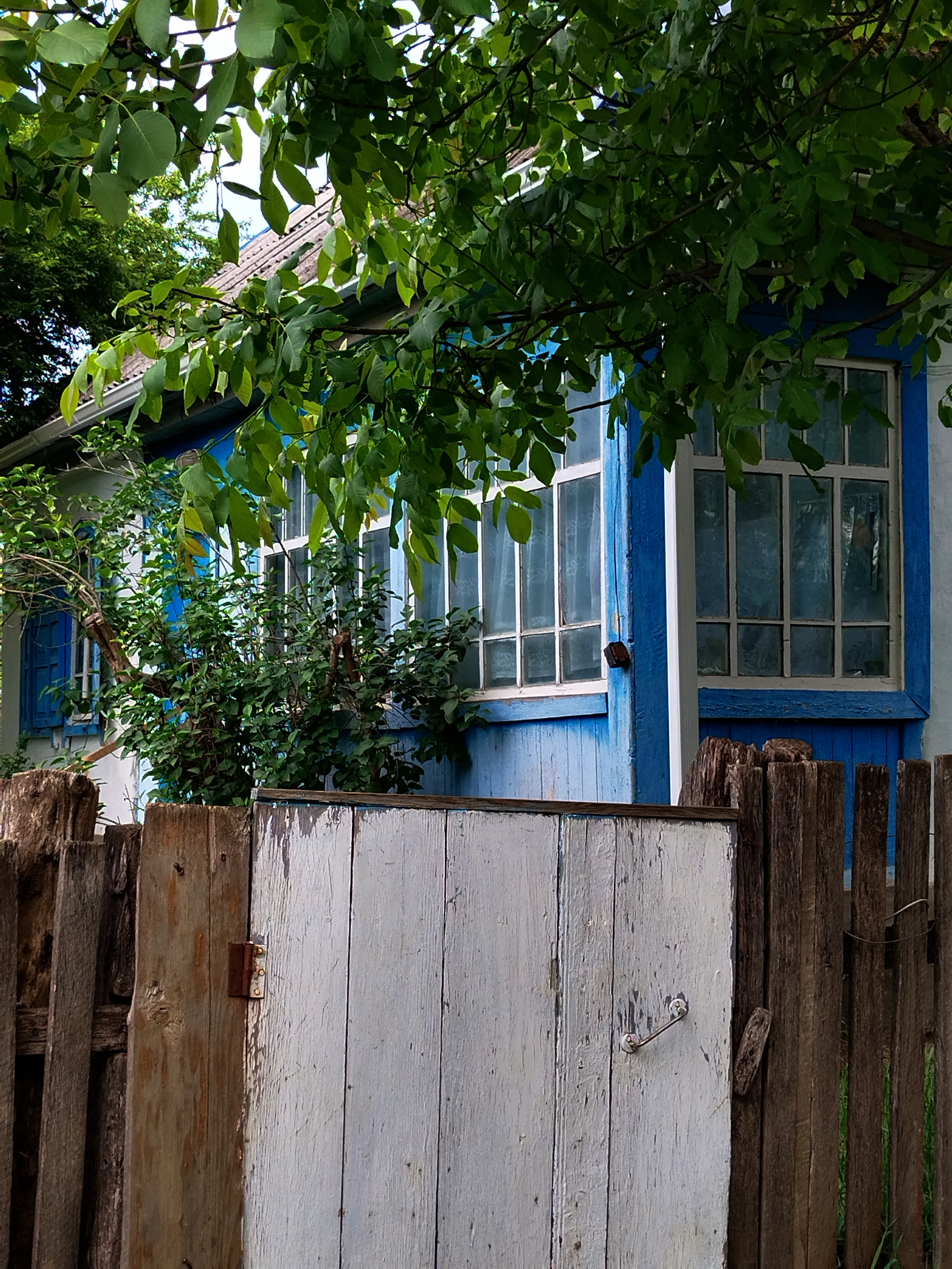 Жизнь через щель