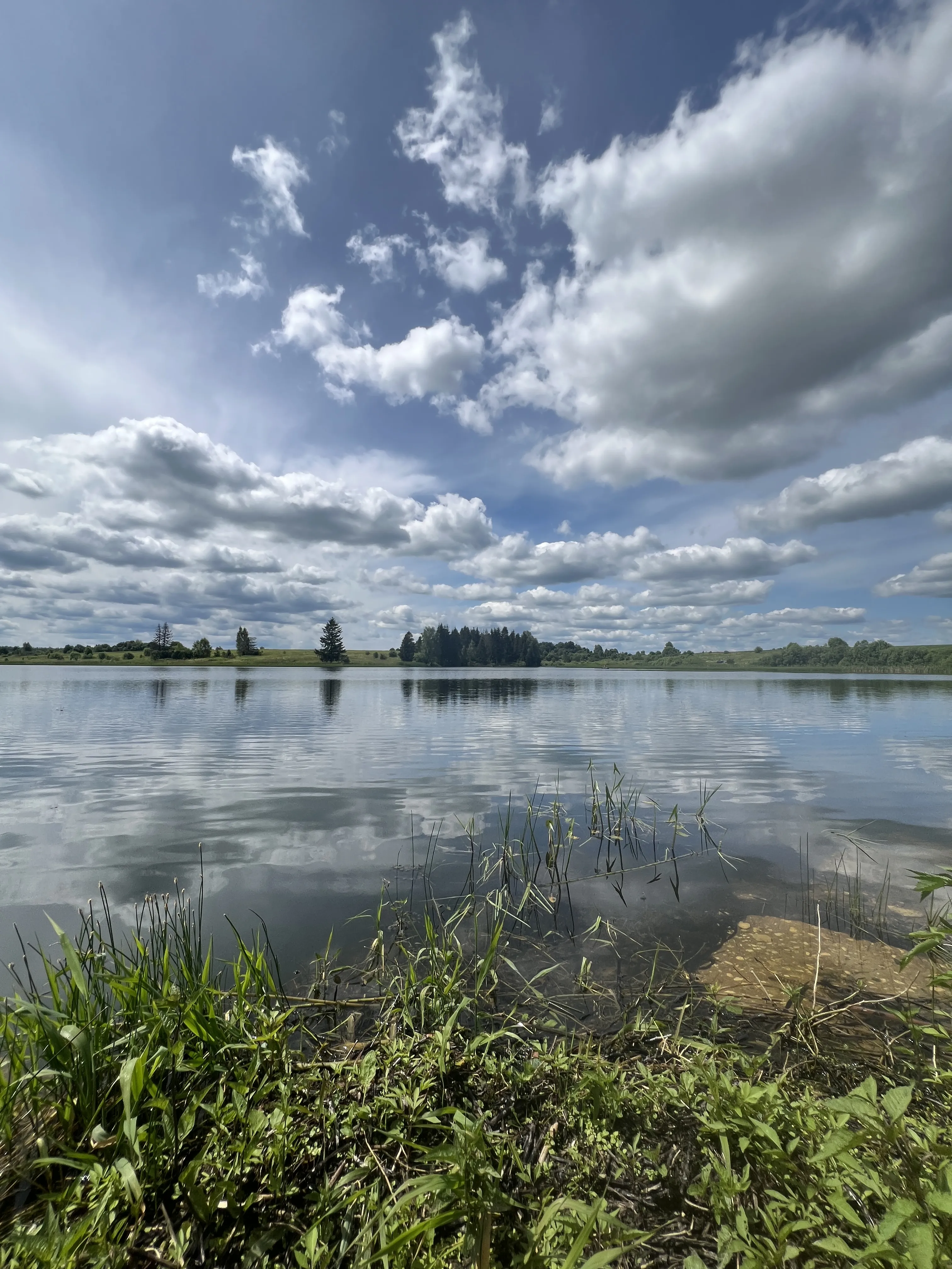Течение времени