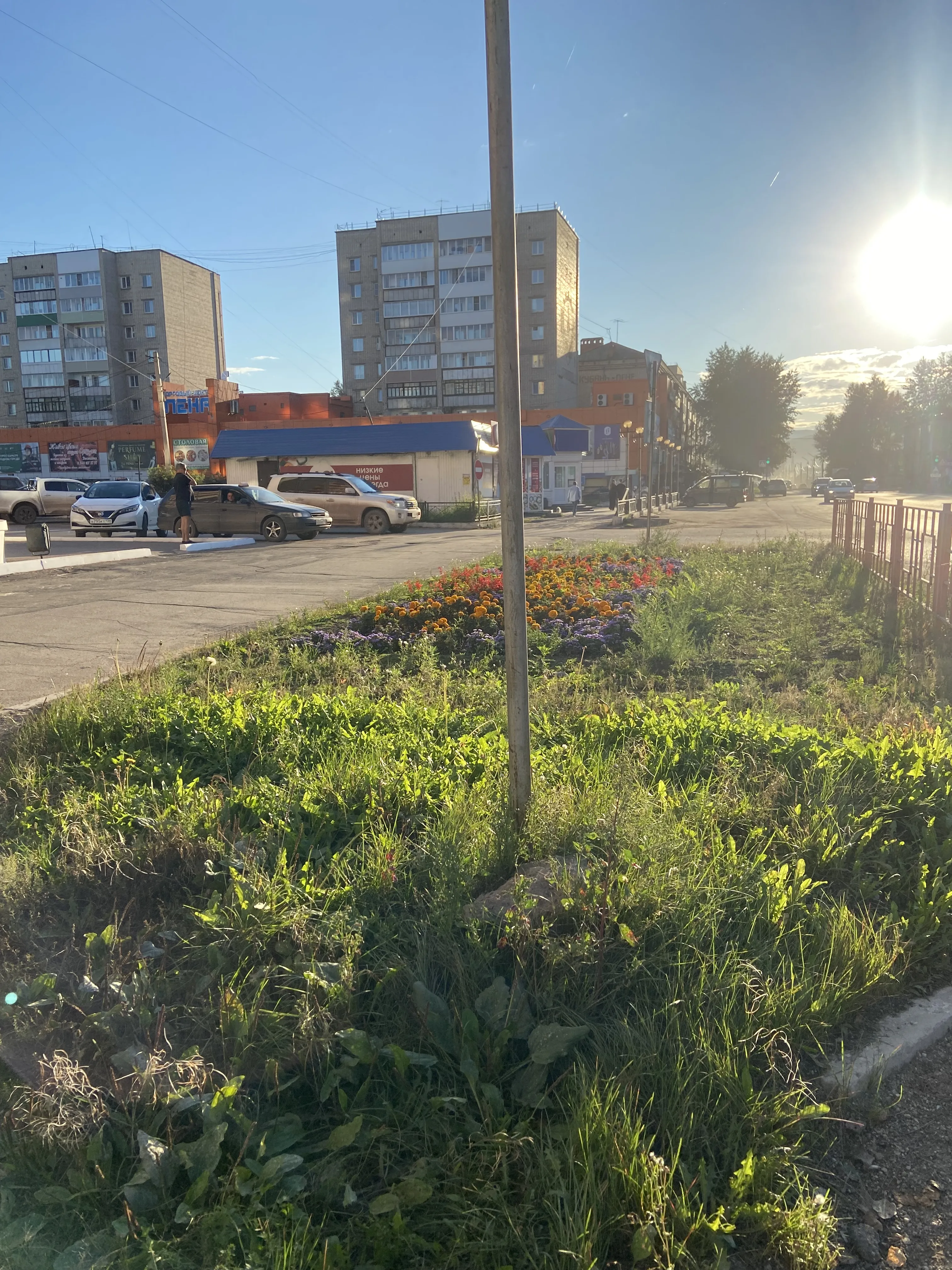 Мой родной город