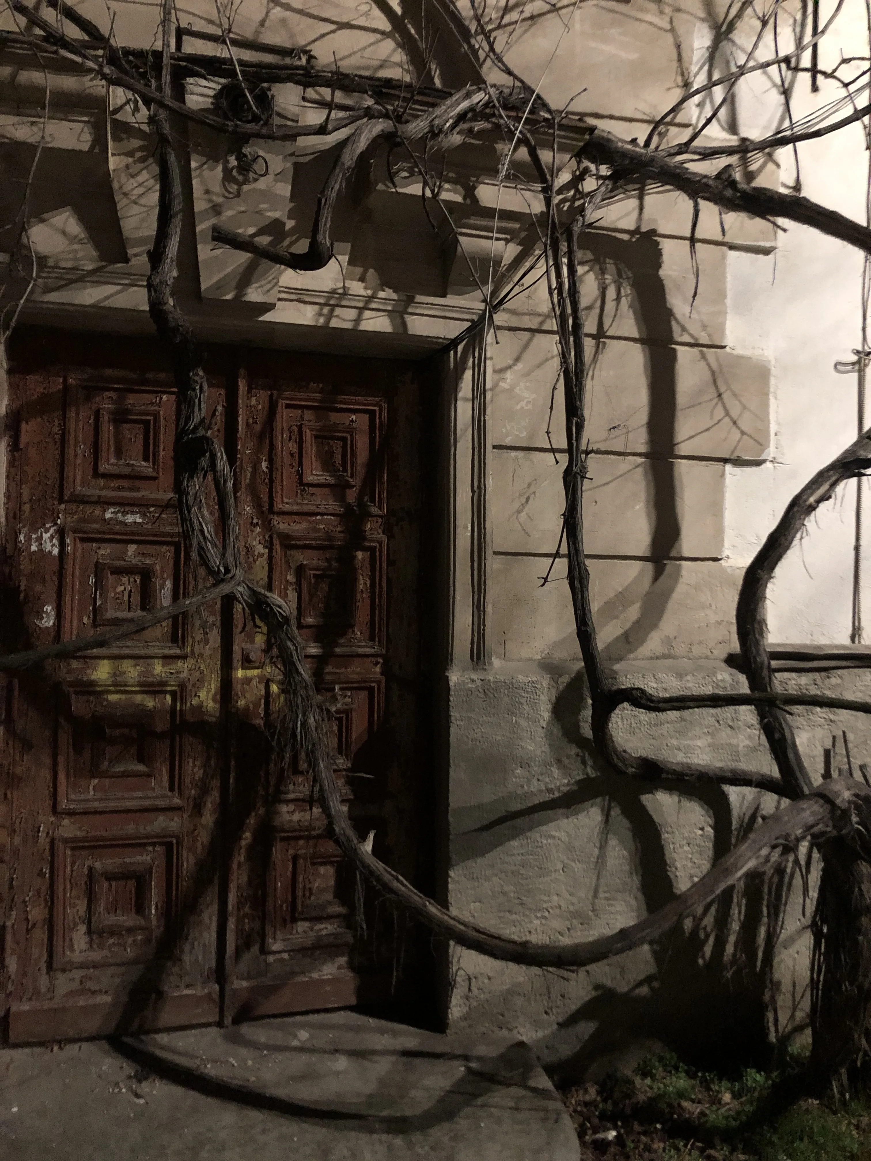 Естественность древесной паутины преграждает путь там, откуда выходить и не собирались.