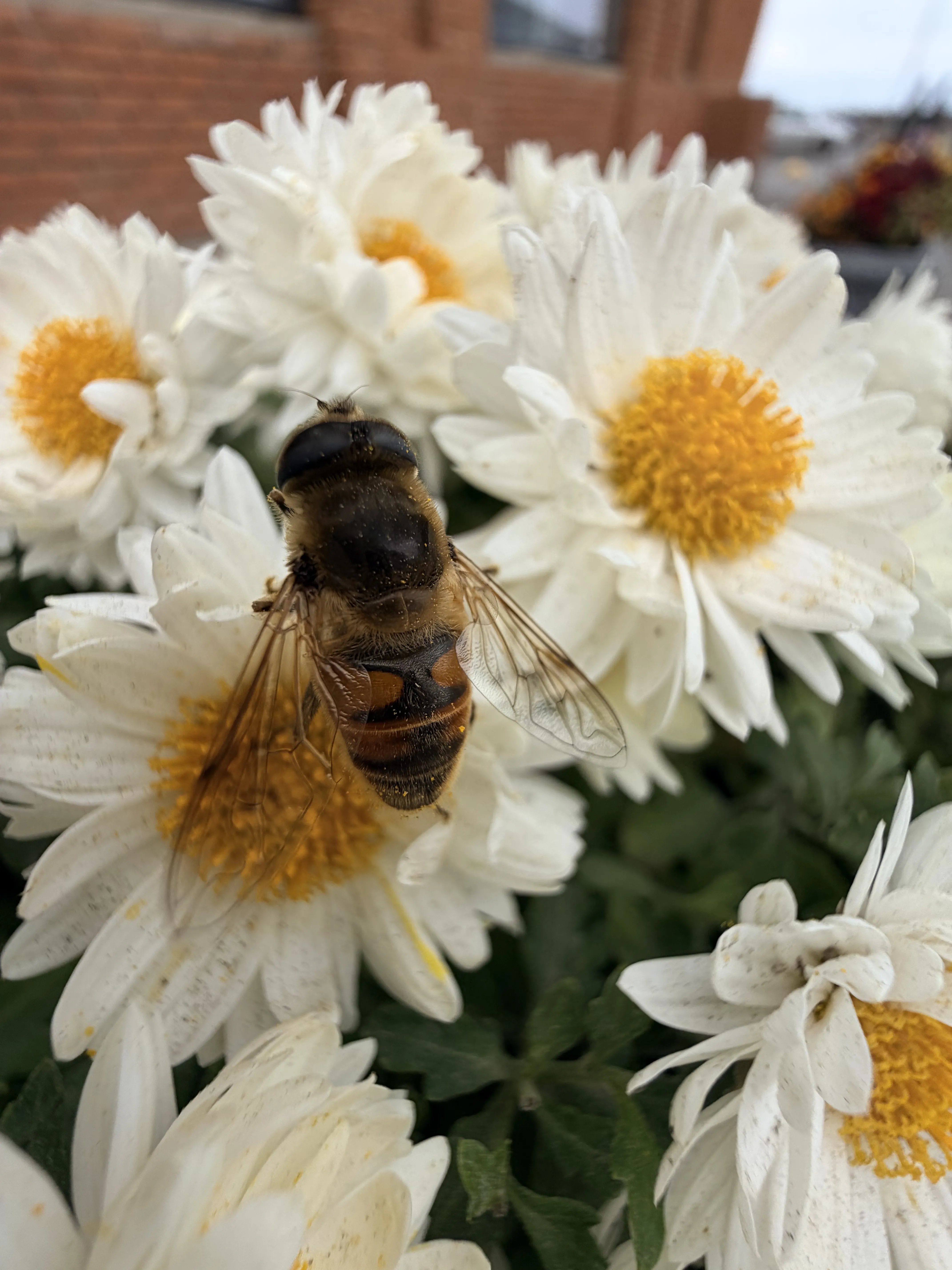 Маленькие герои большого цикла