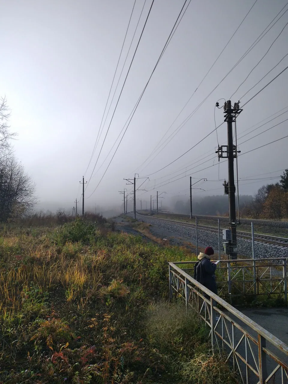 Туманная даль