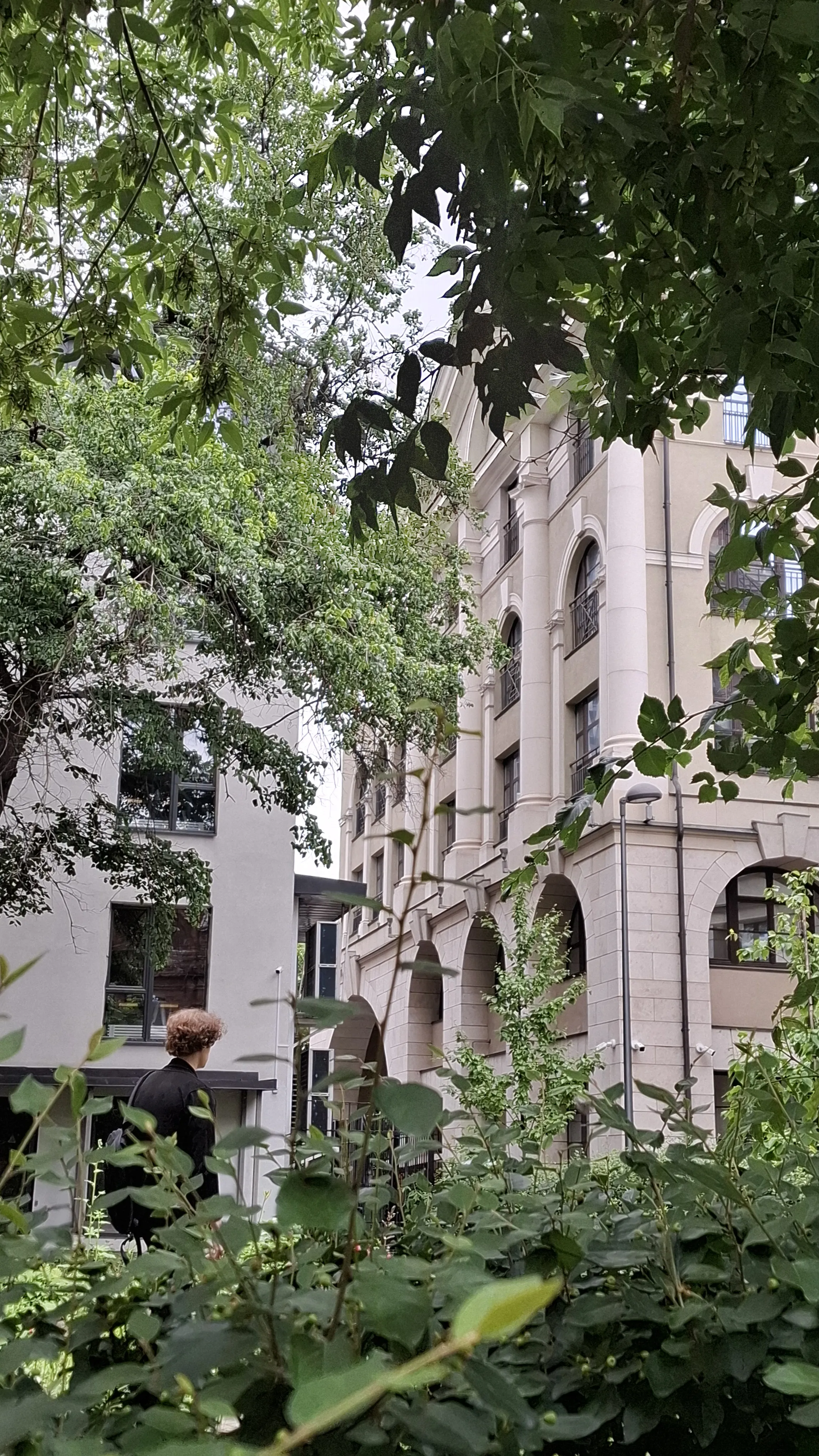 всматривание, уход в и появление из зелени