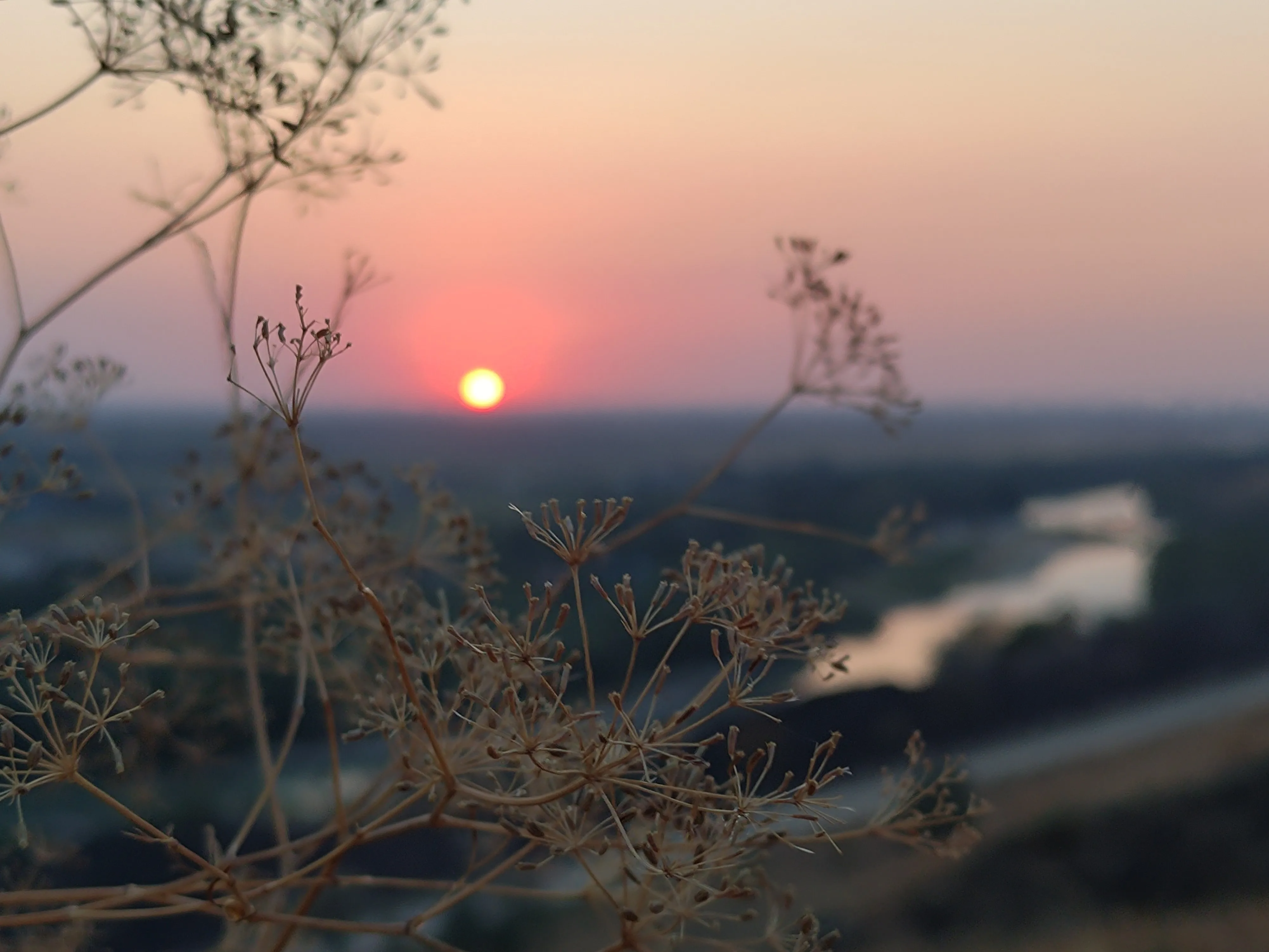 Запах уходящего лета