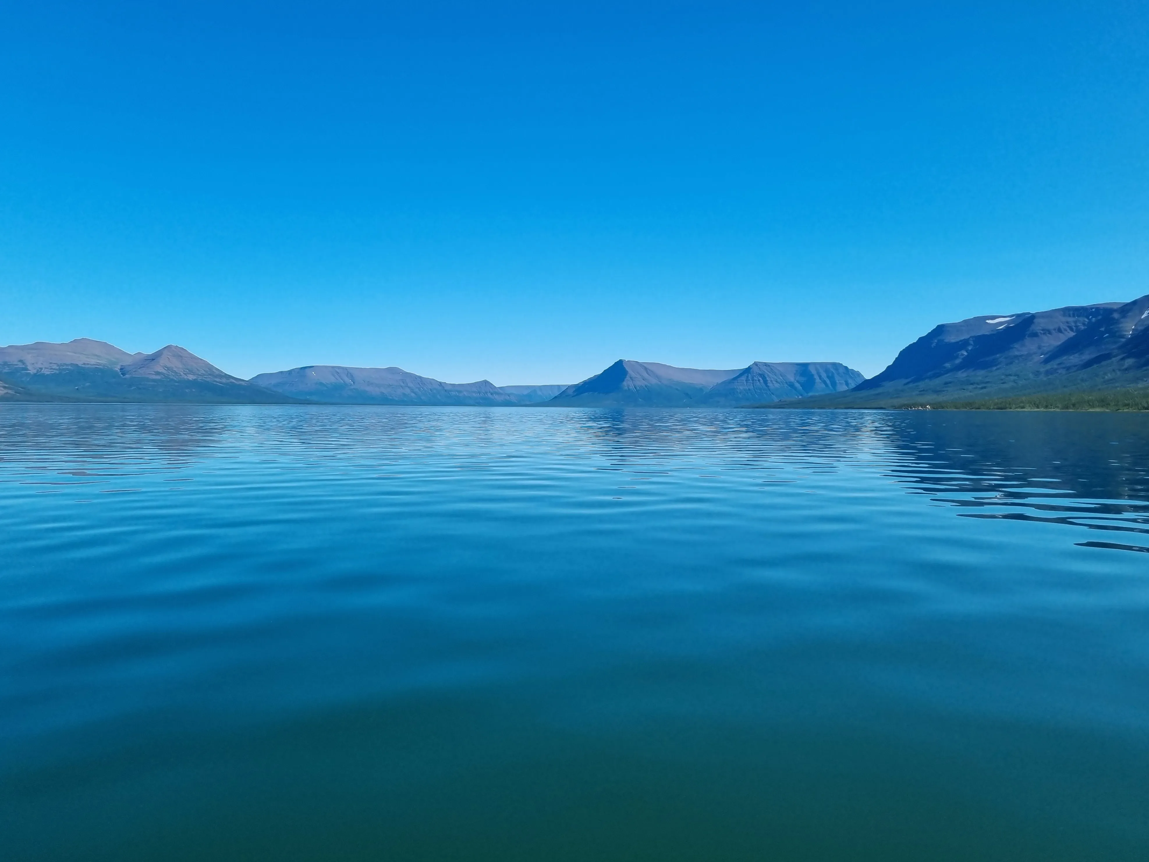 Синие безмолвие