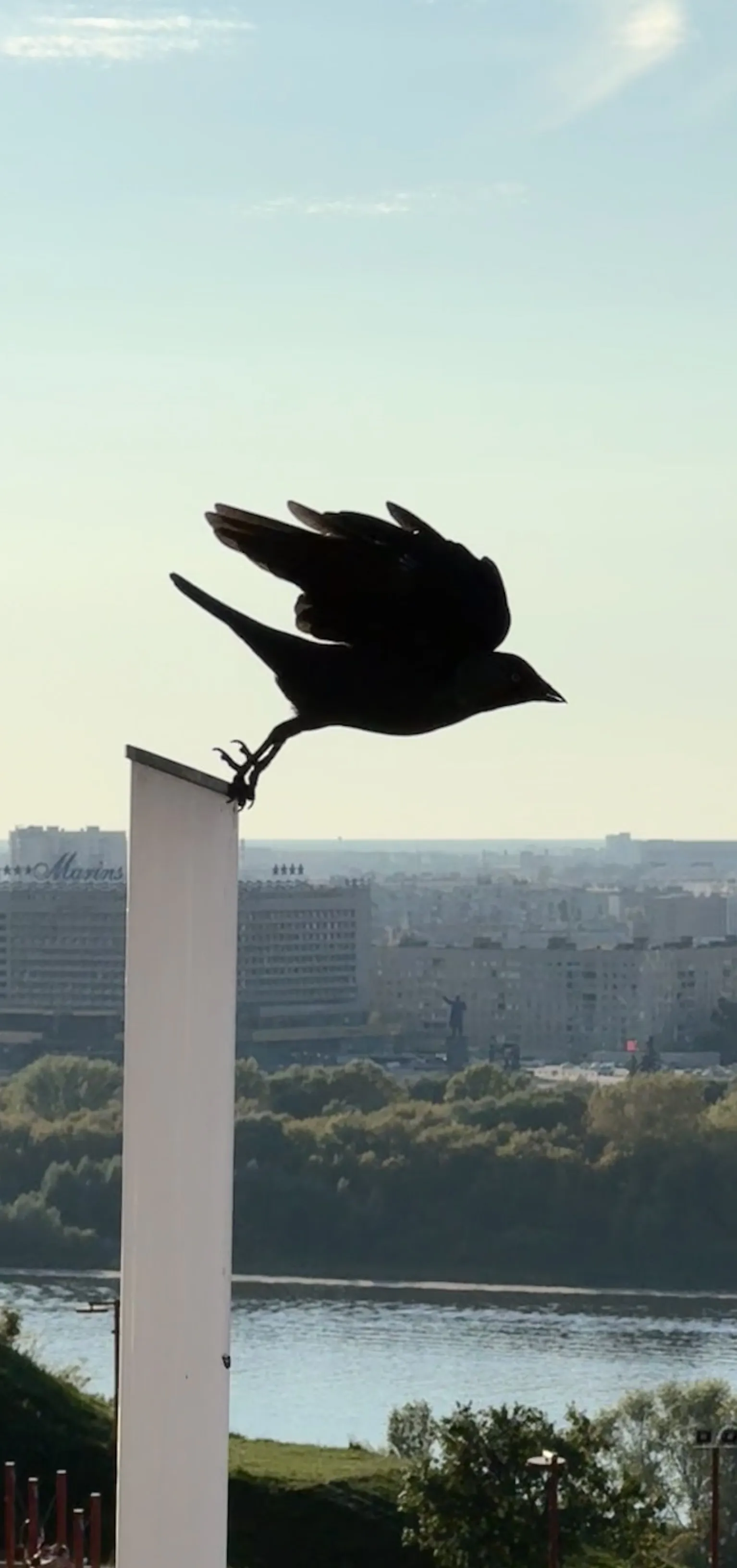 За секунду до полета