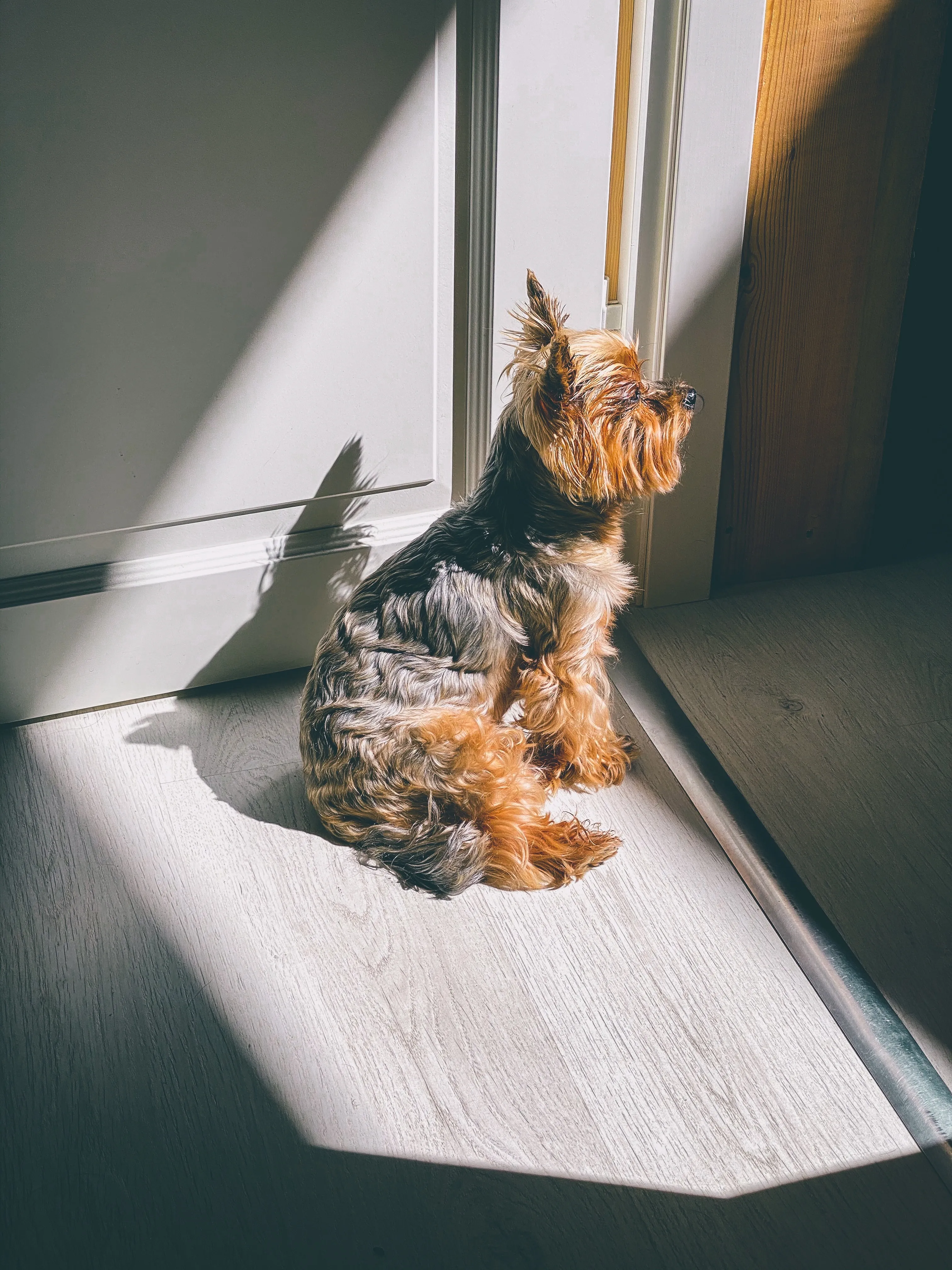 Свой идеальный луч света