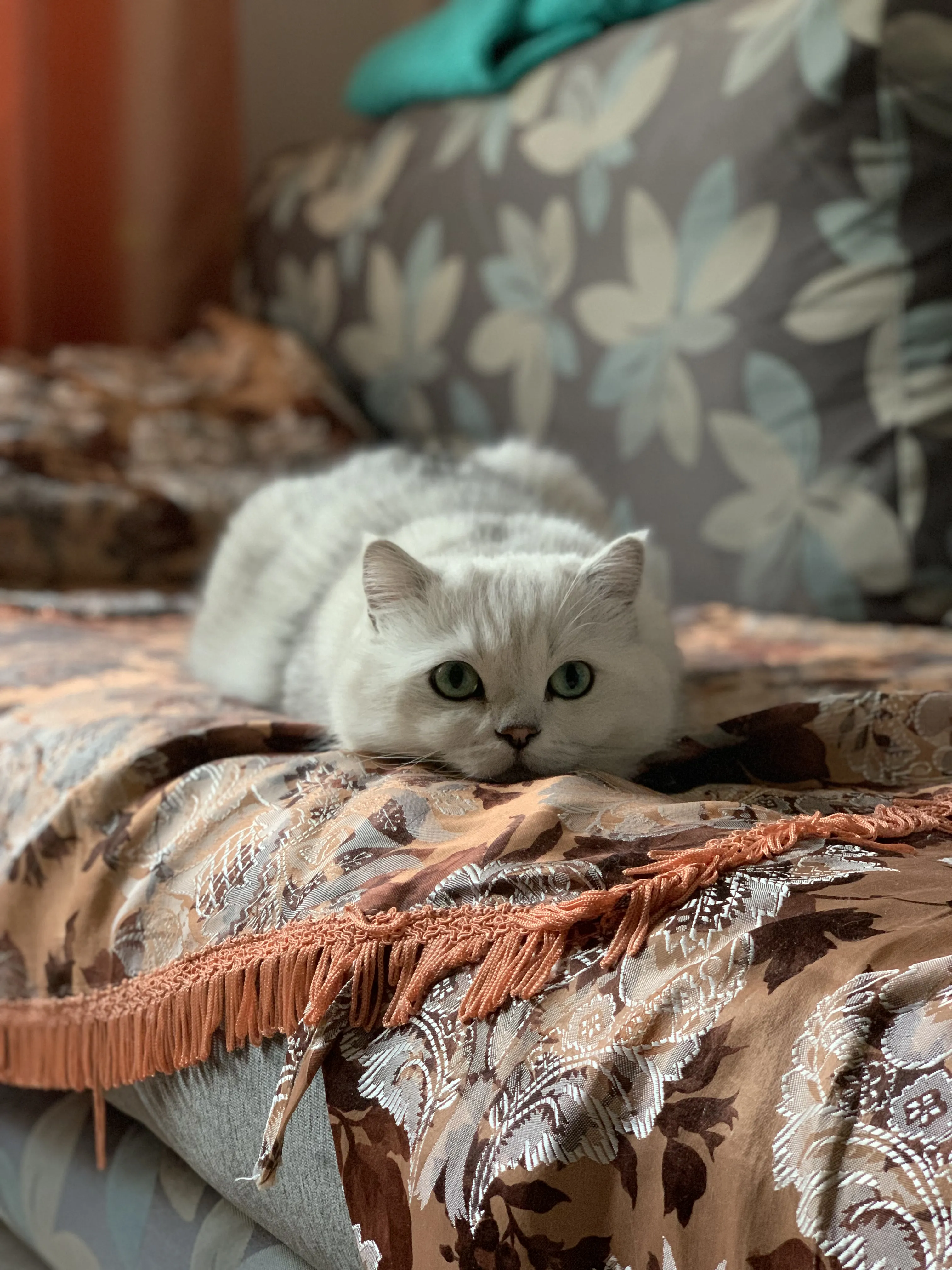 Взгляд из глубины