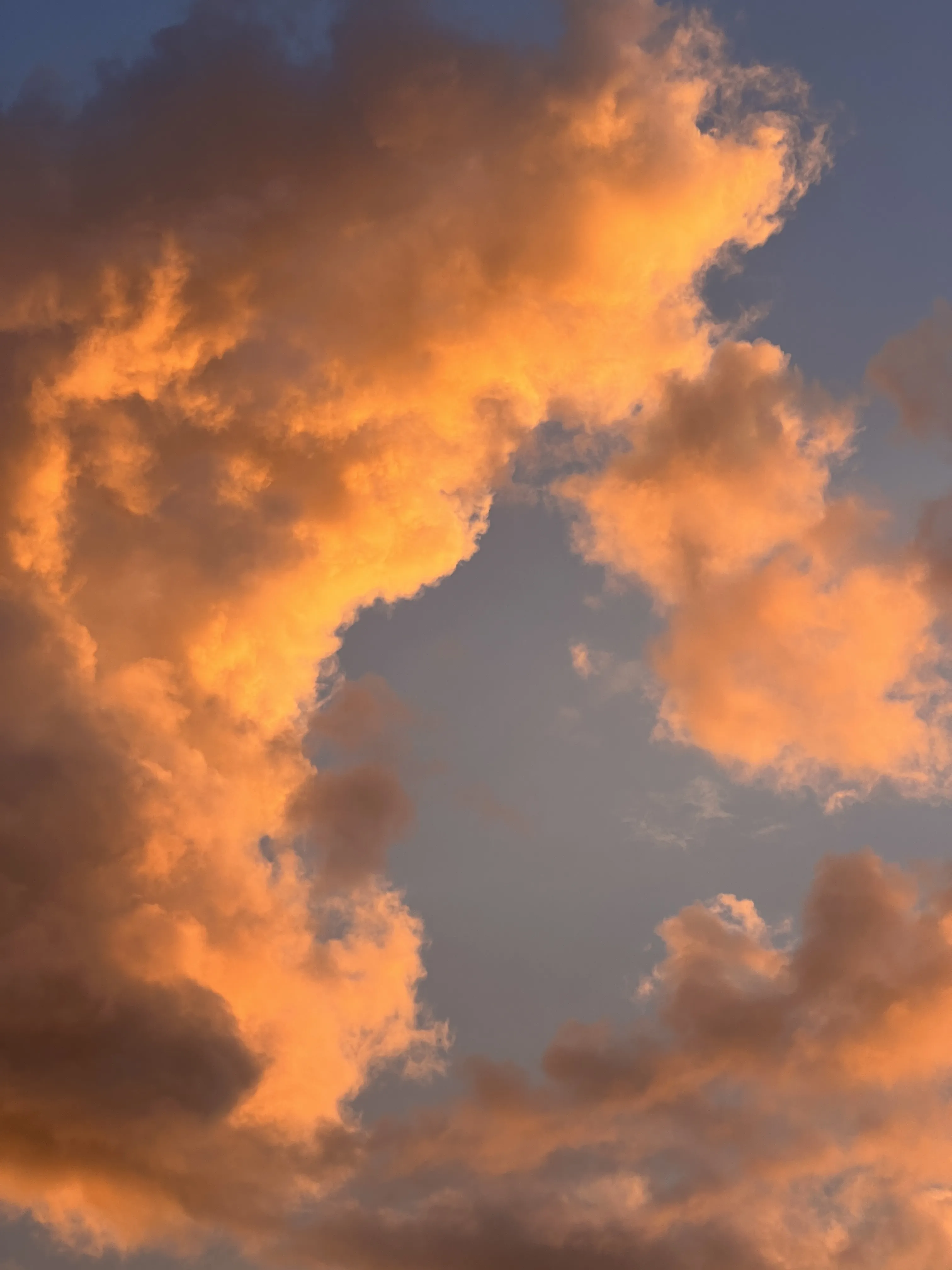 Течение моей жизни