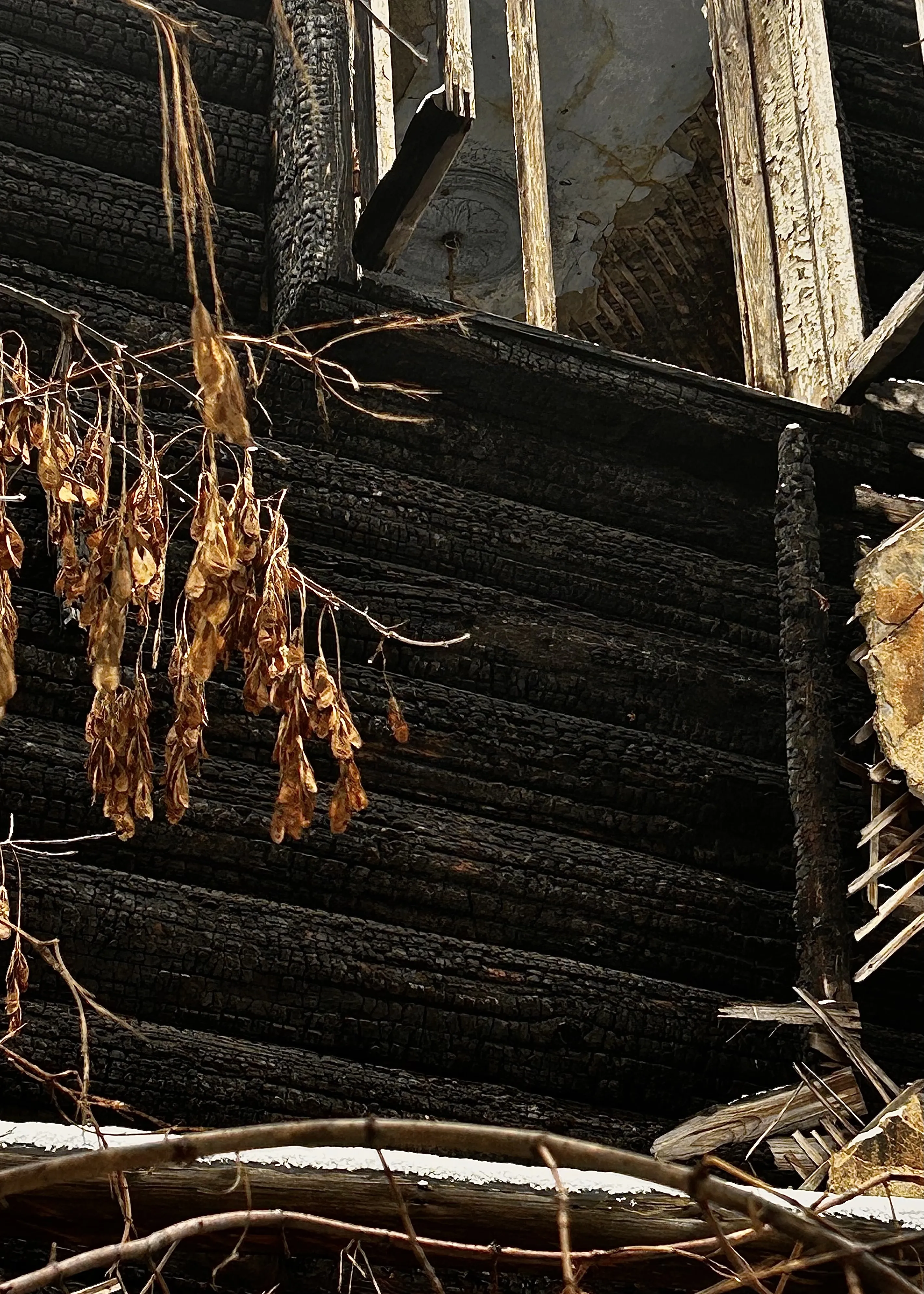 НЕОБРАТИМОСТЬ ИЗ ПРОШЛОГО В НАСТОЯЩЕЕ